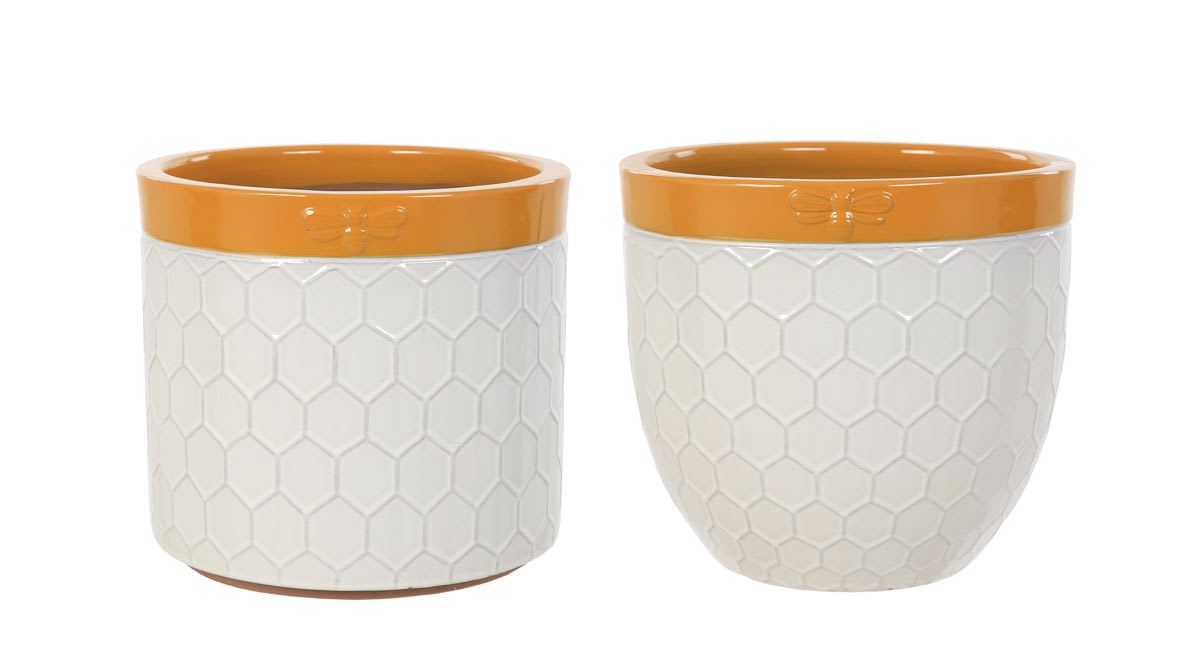 [object Object] image 1