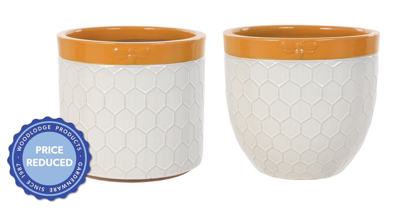 [object Object] image 0