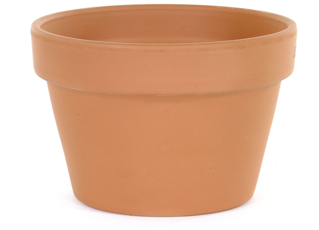 [object Object] image 0