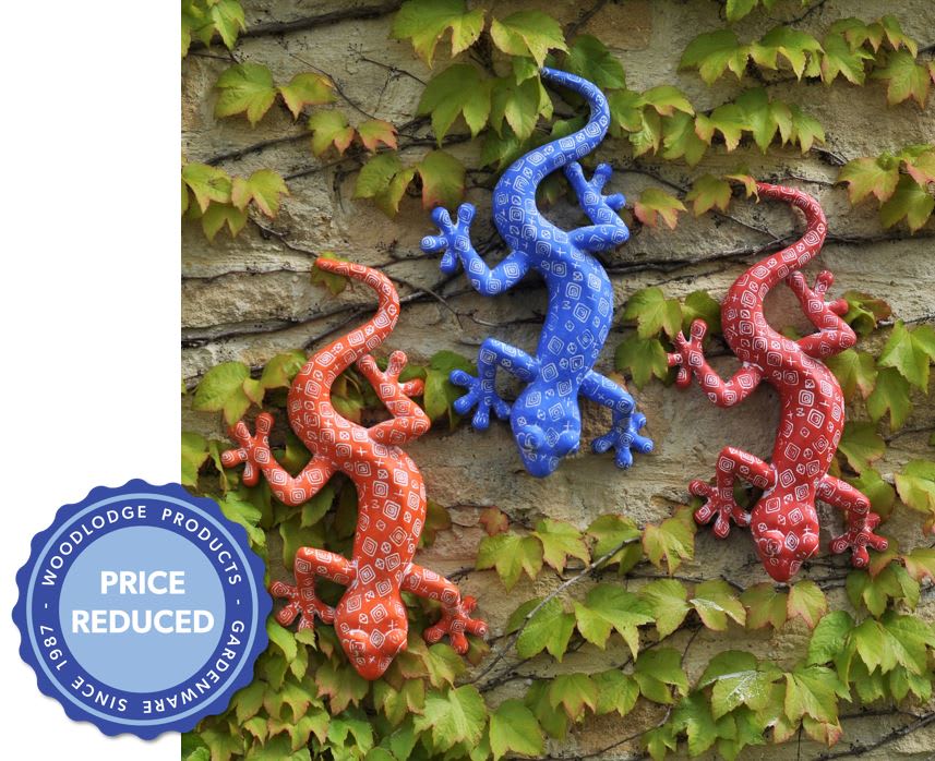 [object Object] image 1