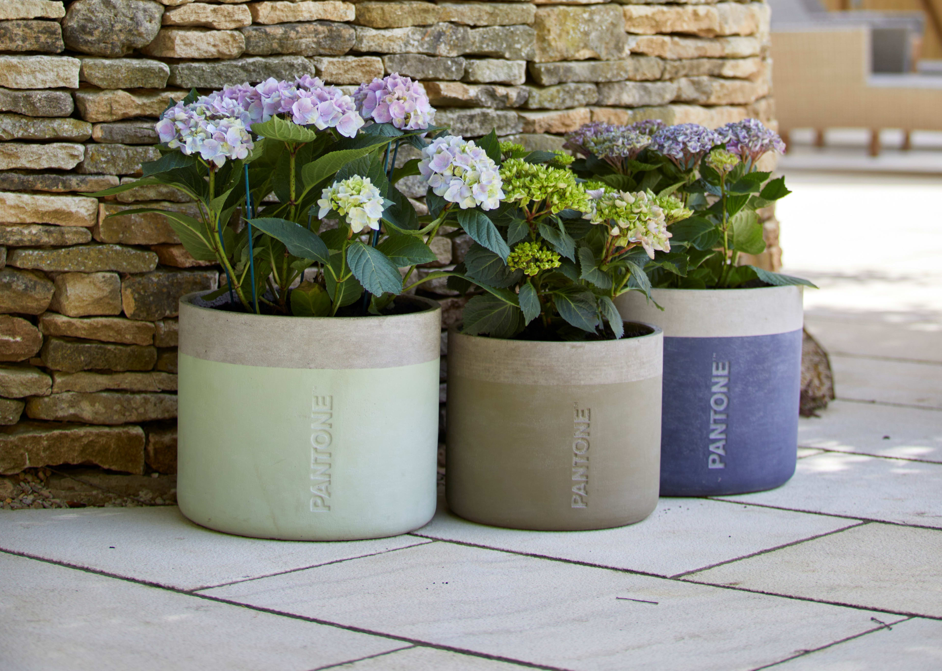 [object Object] image 4