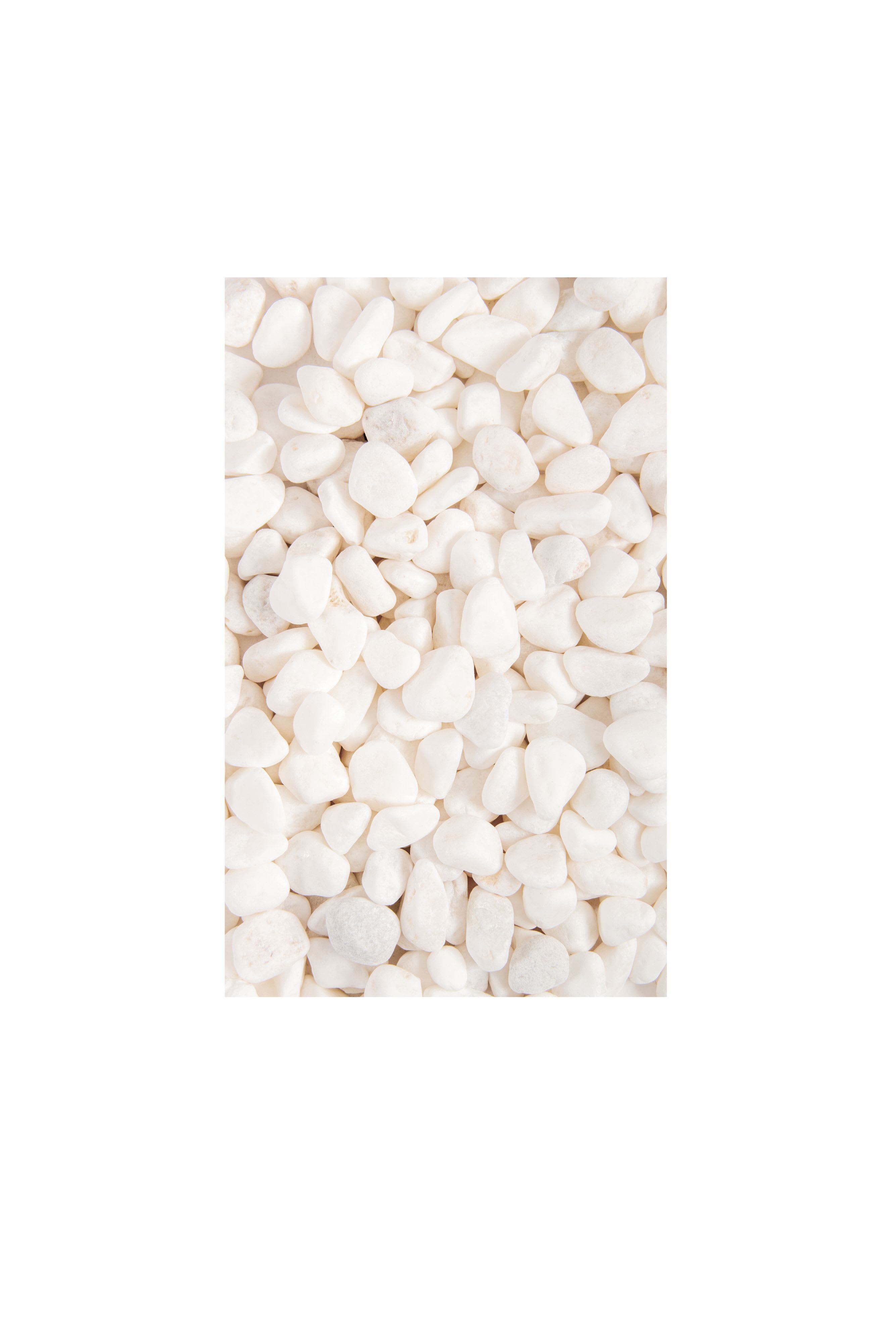 [object Object] image 1