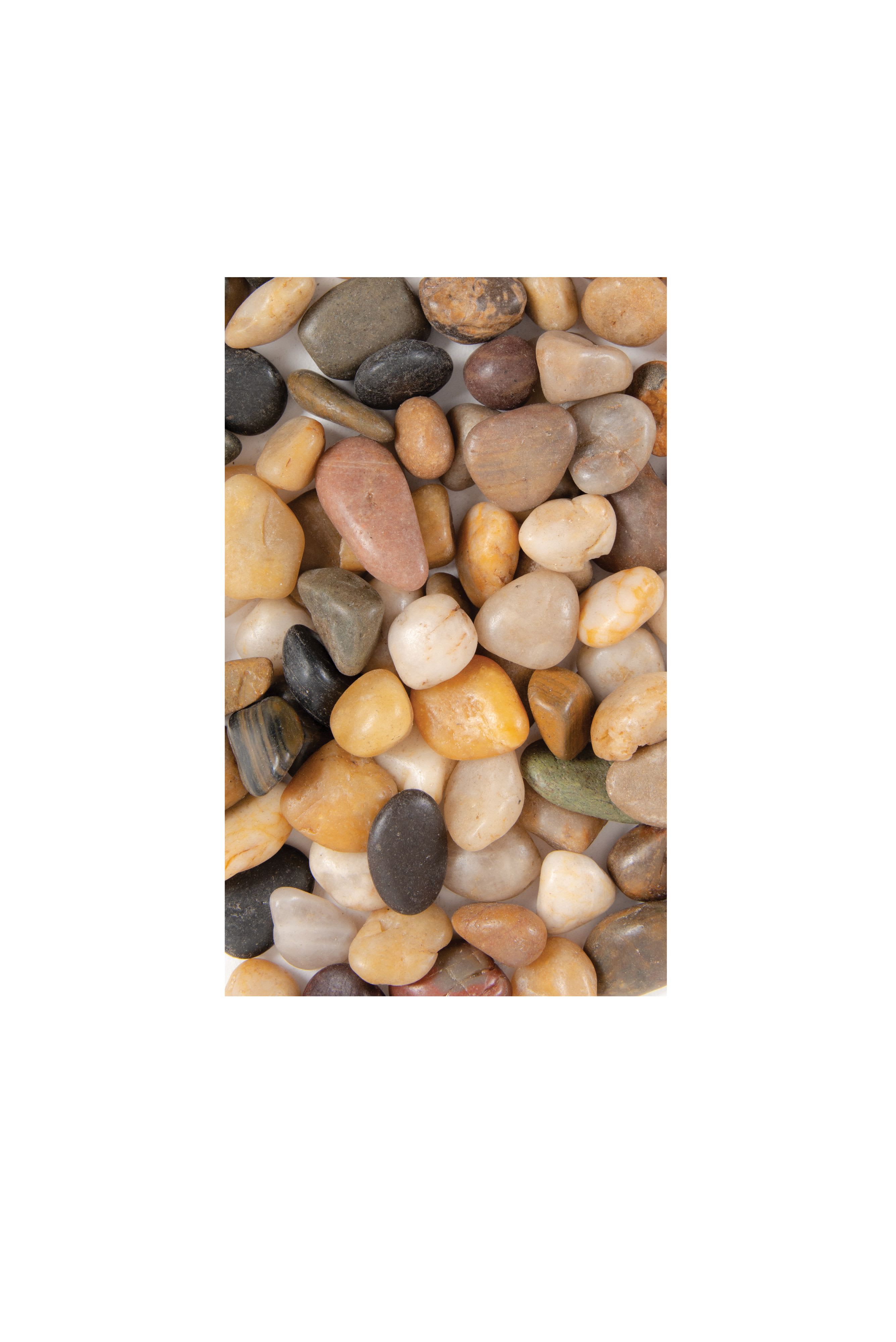 [object Object] image 1