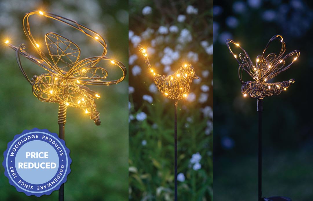 [object Object] image 0