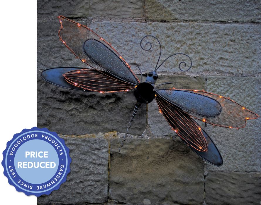 [object Object] image 1