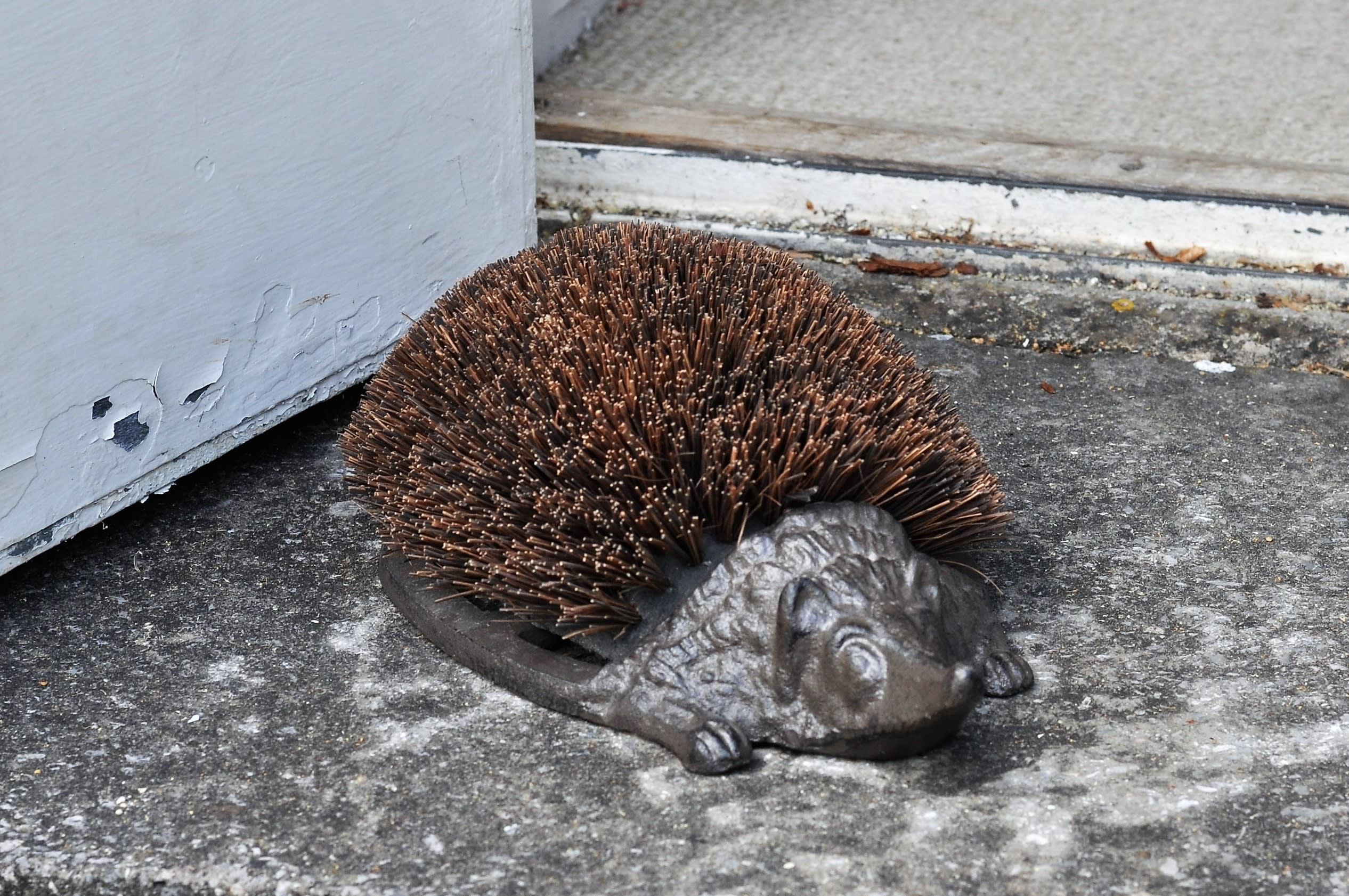 [object Object] image 1