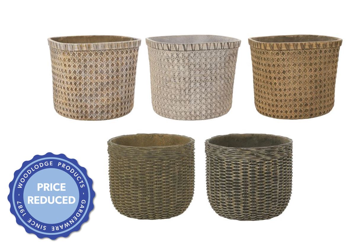 [object Object] image 5