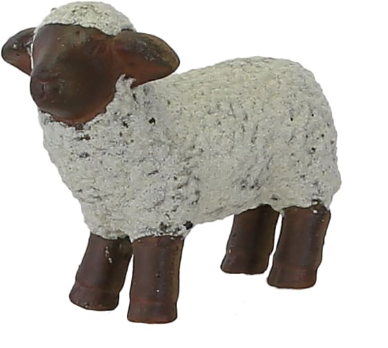 [object Object] image 0