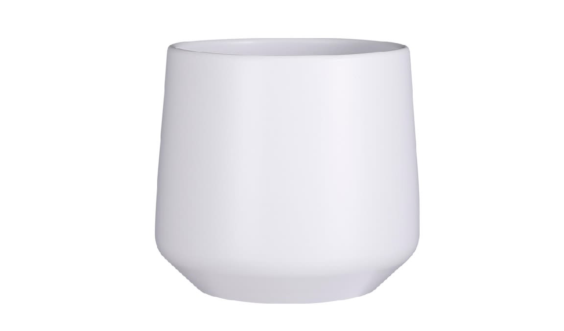 [object Object] image 0