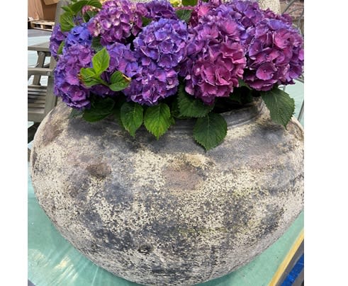 [object Object] image 1