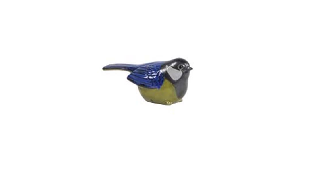 BLUETIT1