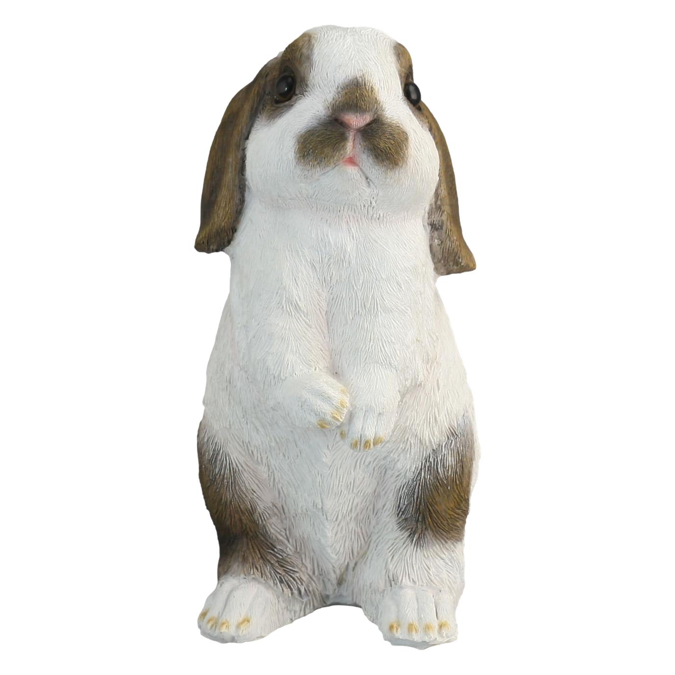 BUNNYR1