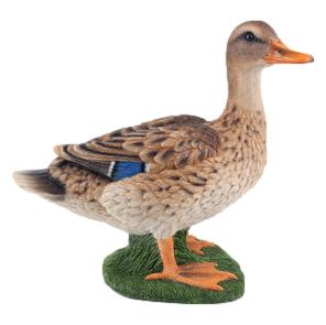 DUCKR1