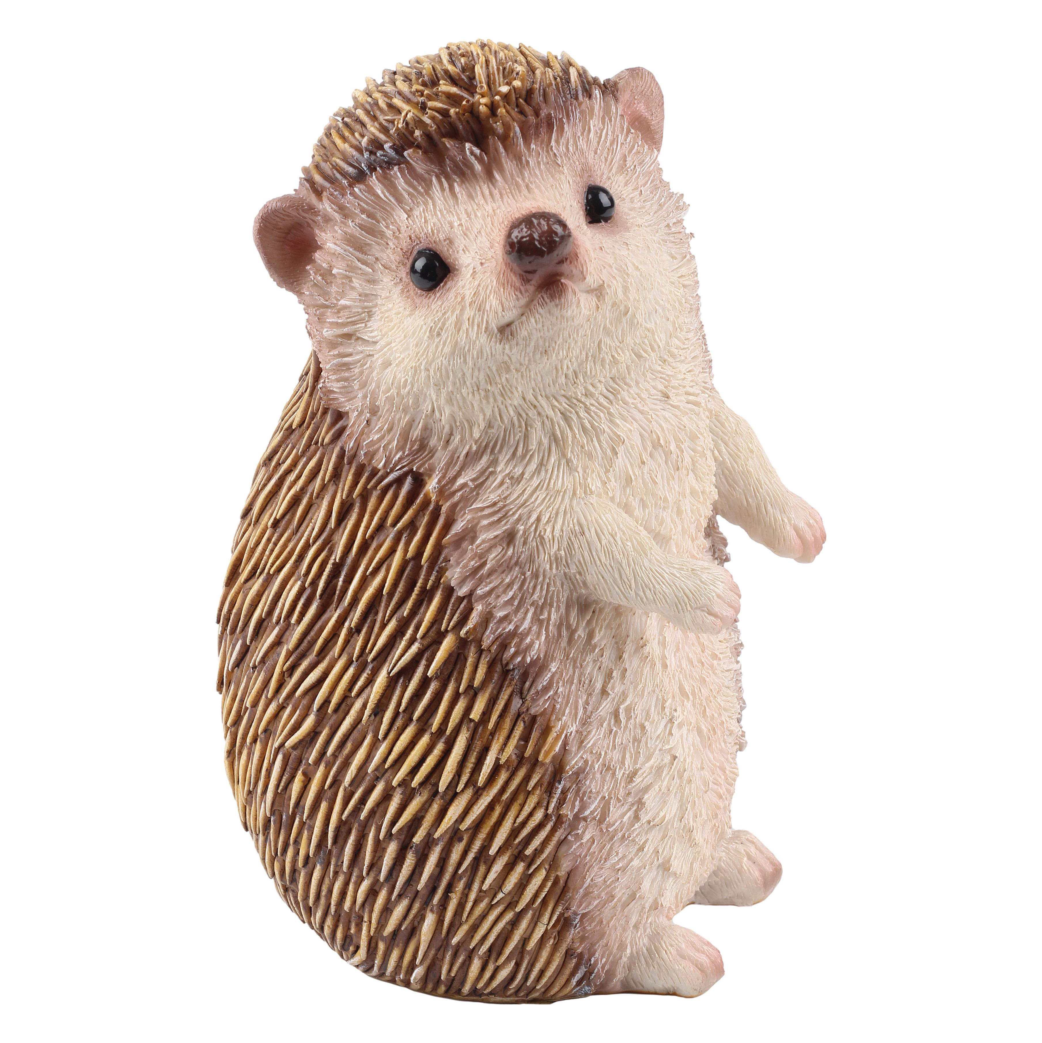 HEDGEHOGR2