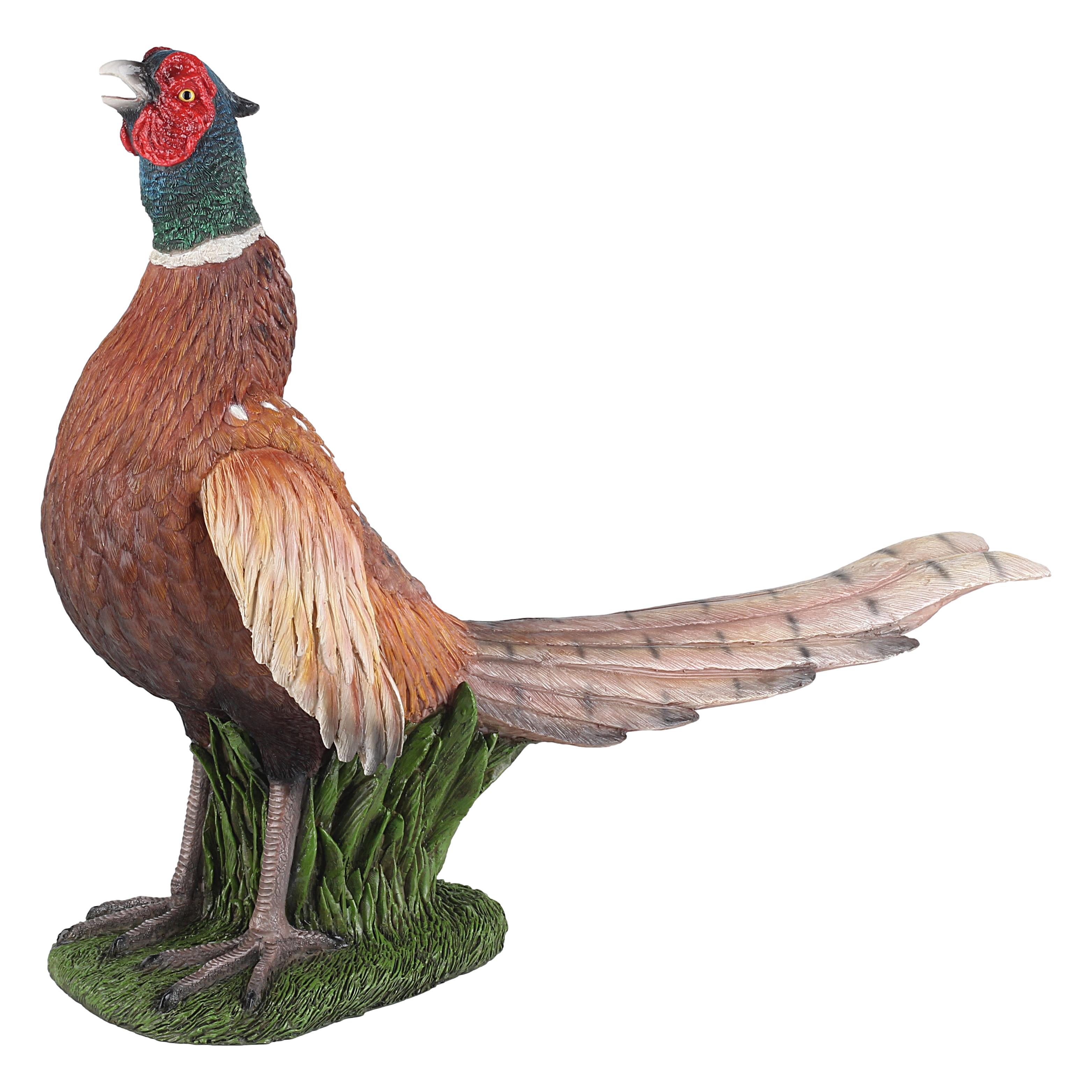 PHEASANTR1