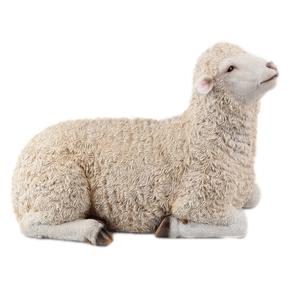 SHEEPR1