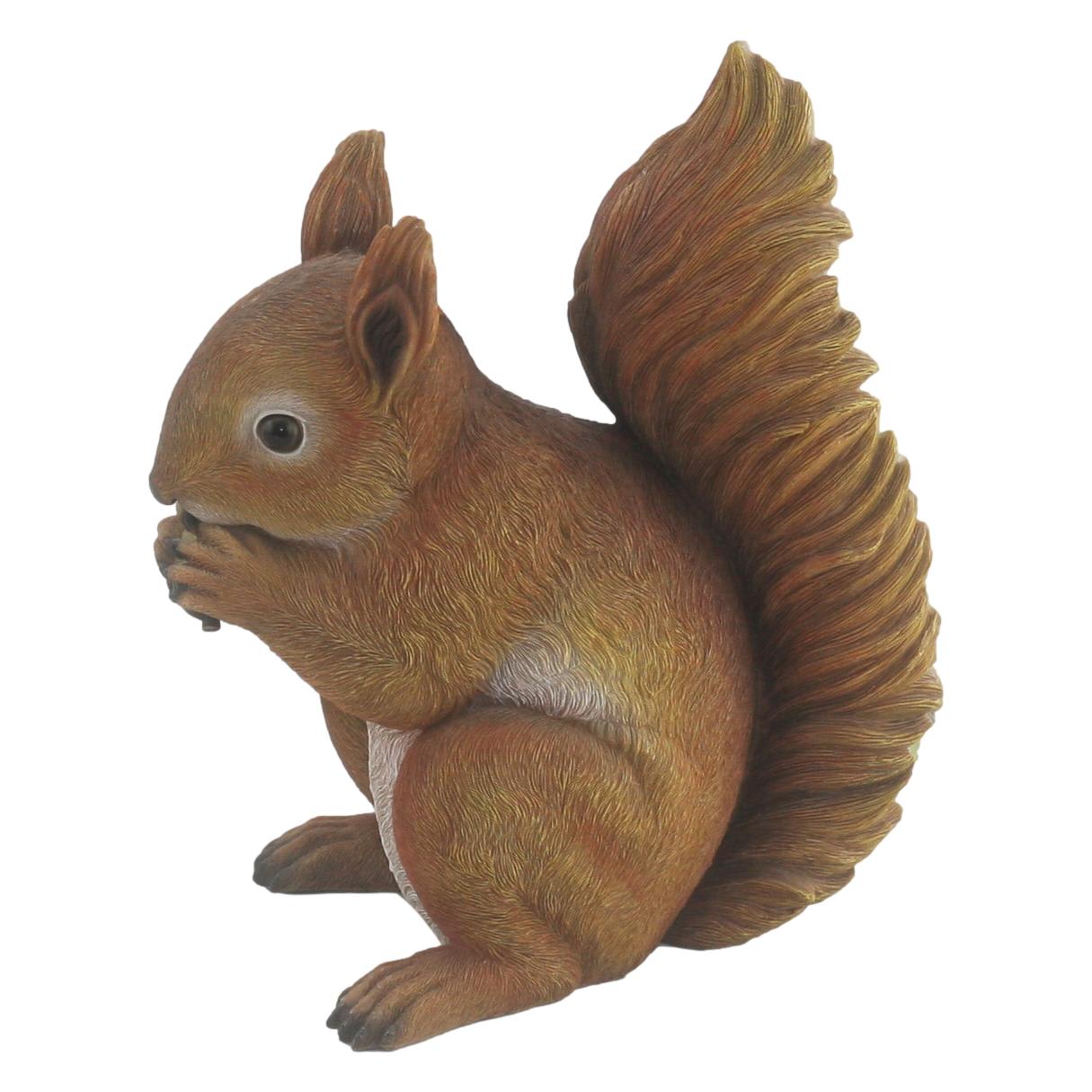 SQUIRRELR2