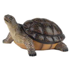 TORTOISER1