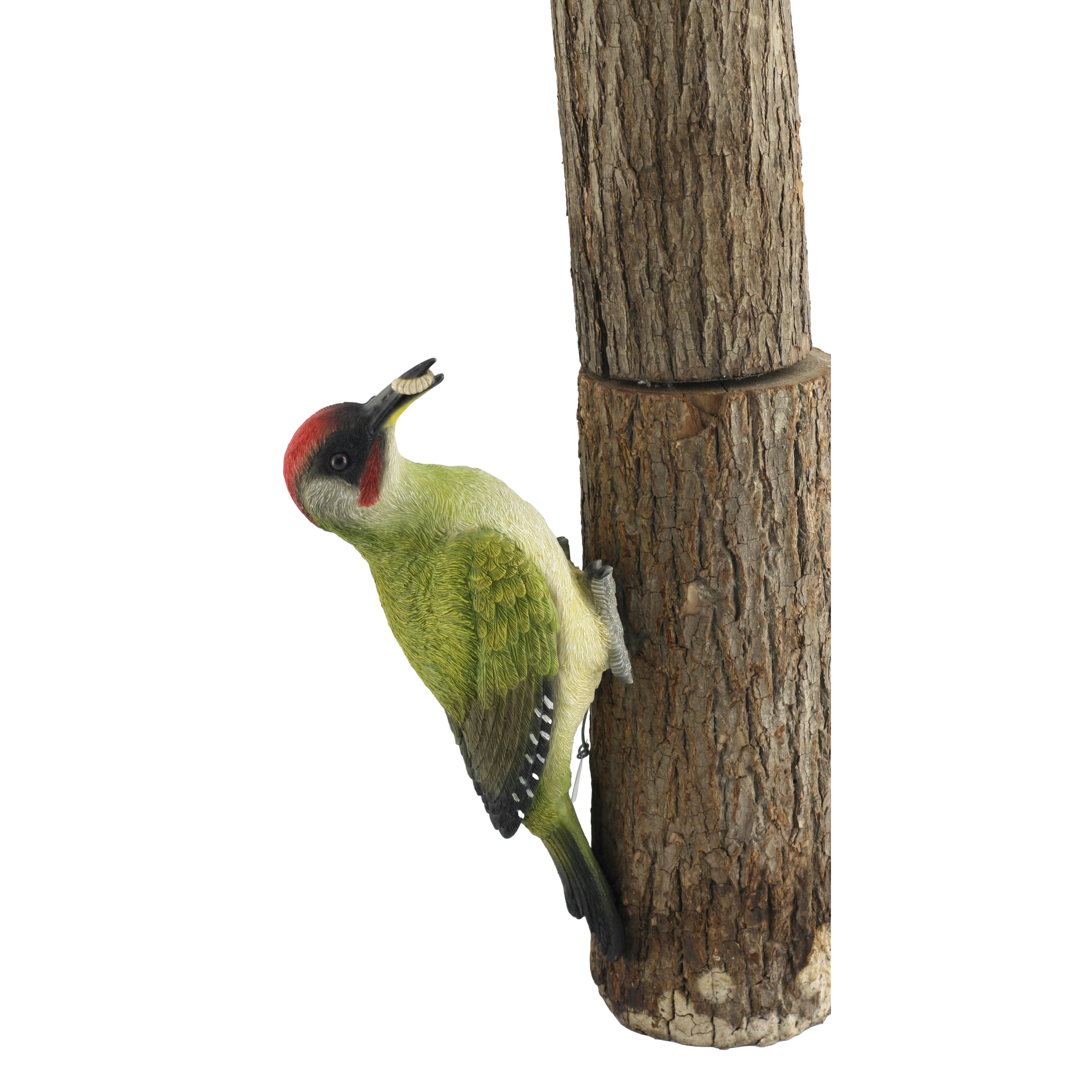 WOODPECKR1