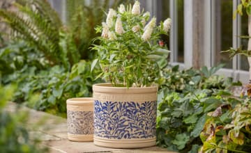 William Morris Ceramics