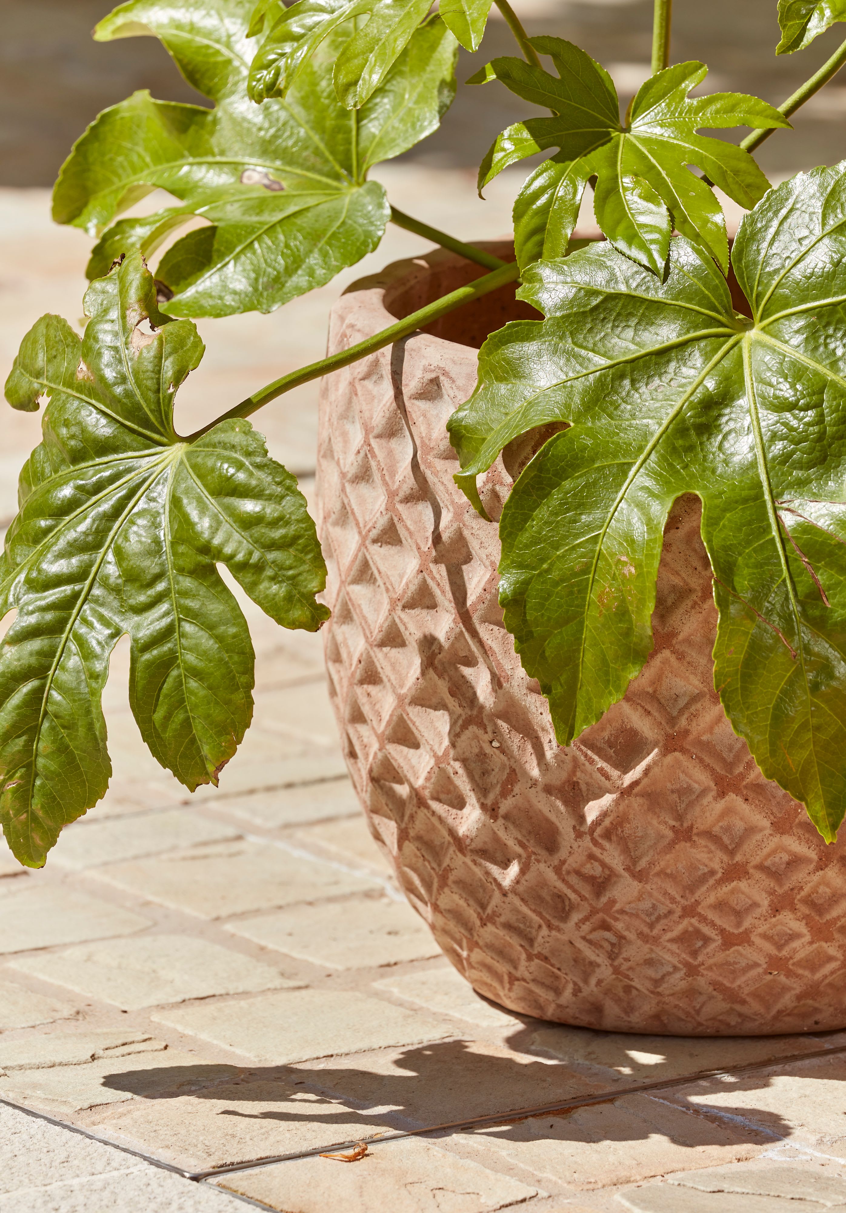 [object Object] image 2