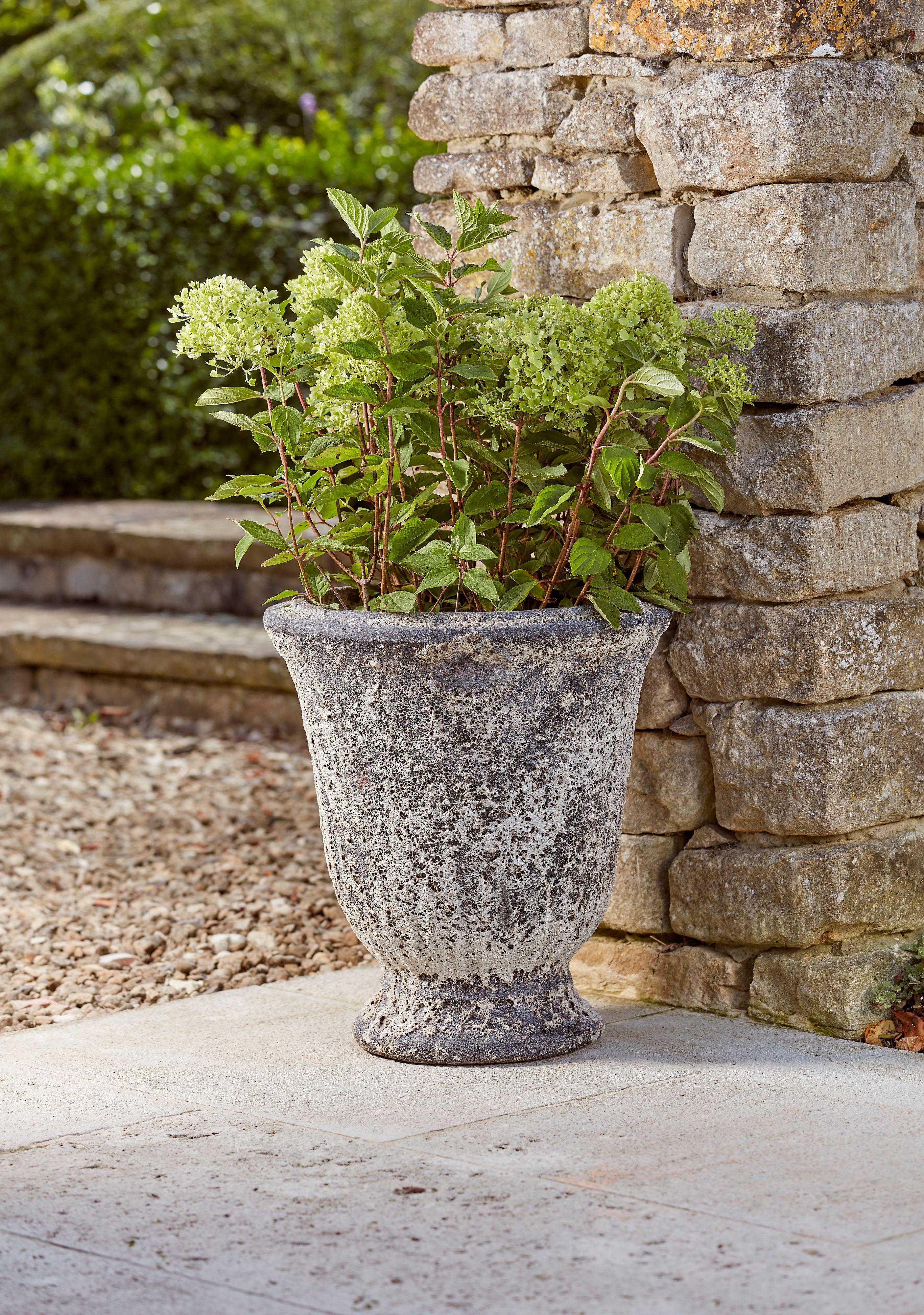 [object Object] image 1