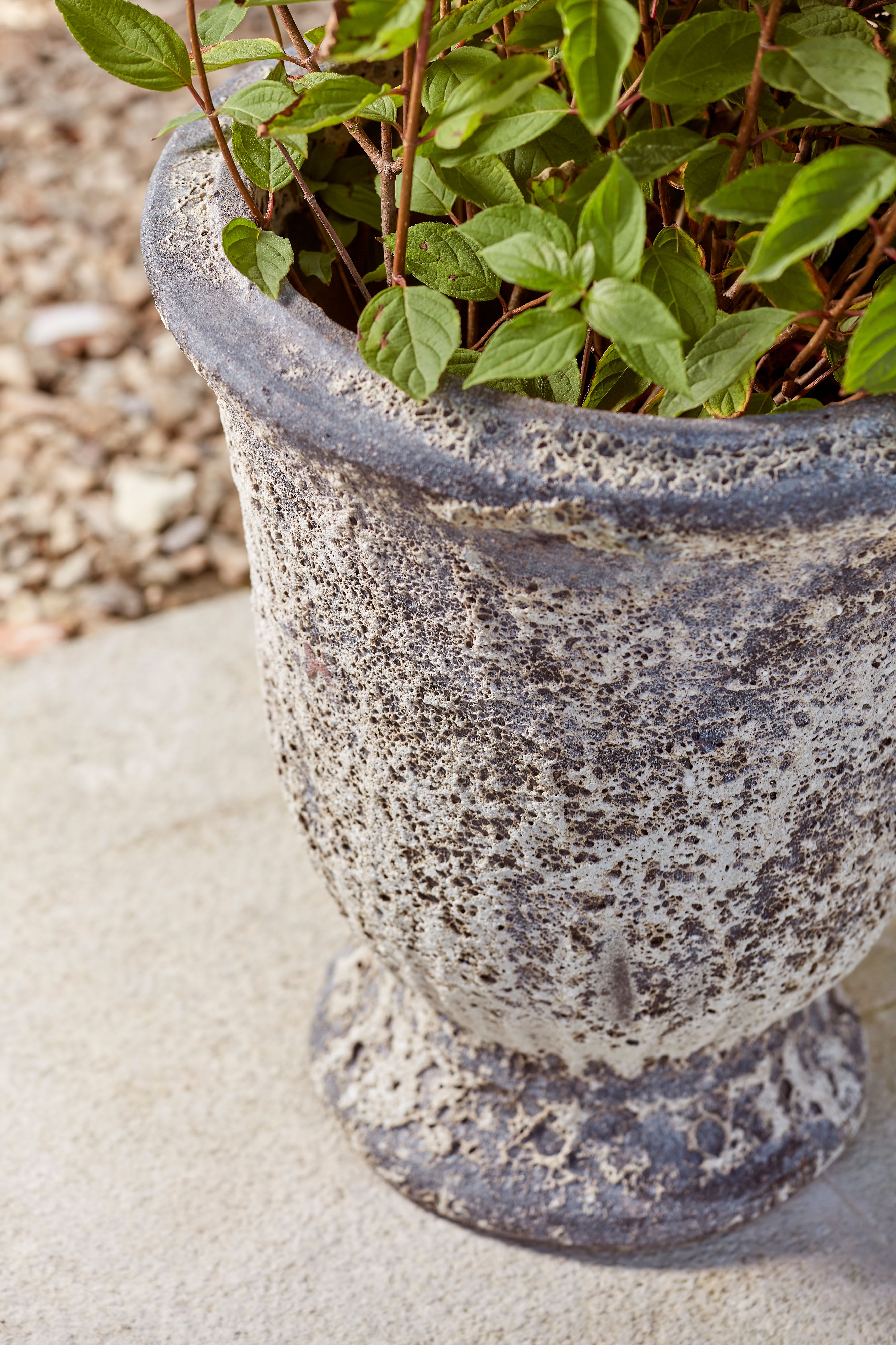 [object Object] image 2