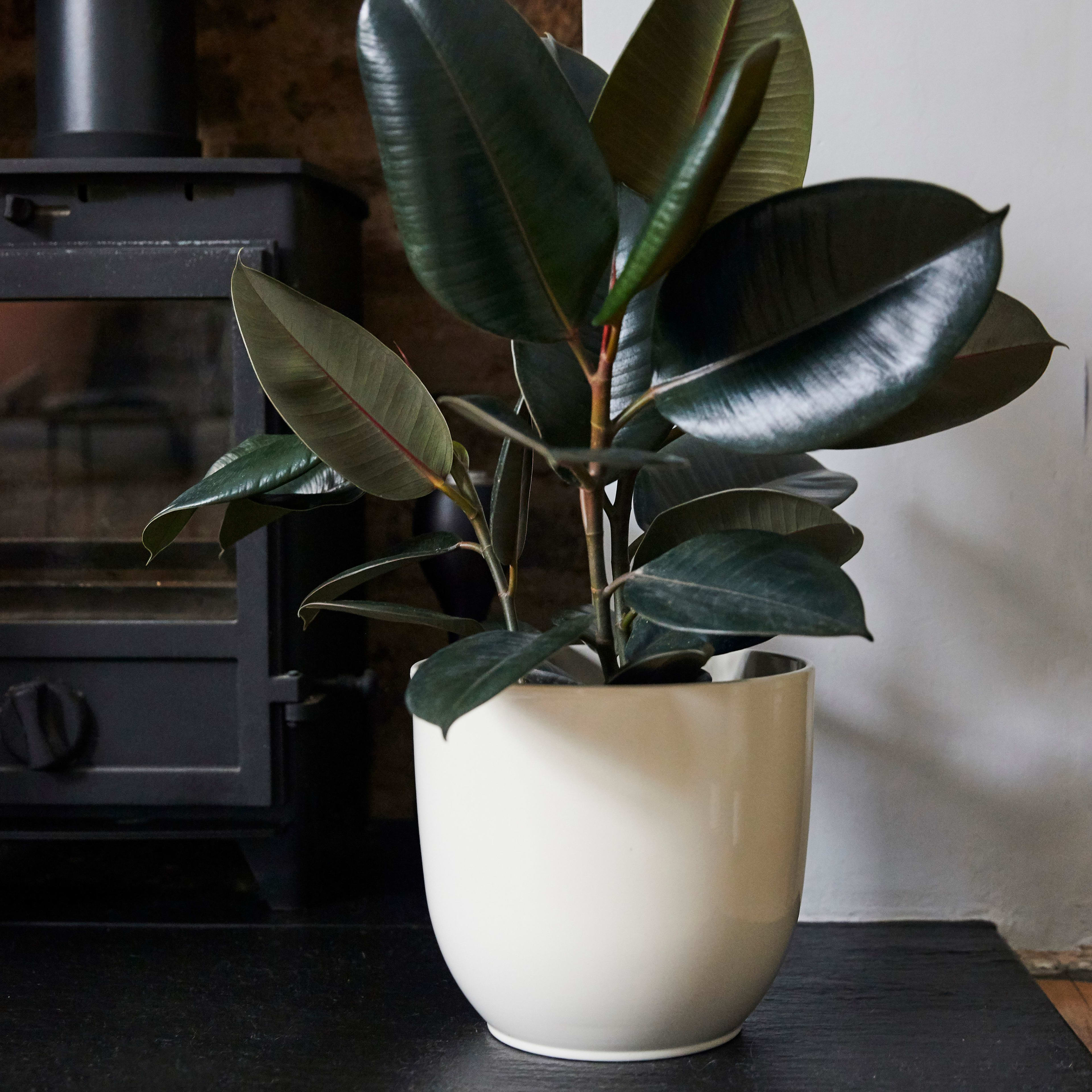 Siena Pot Round Cream 28cm lifestyle