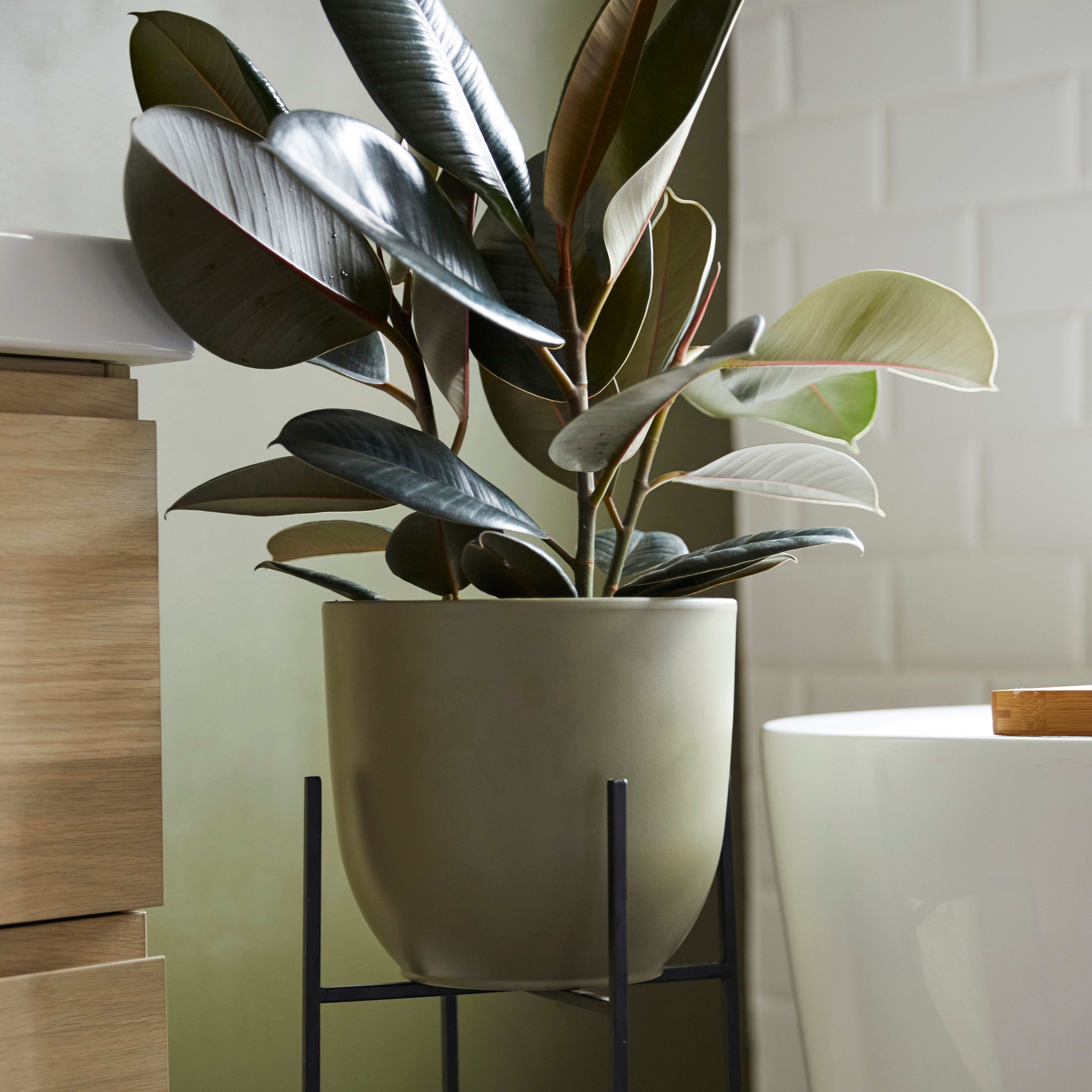 [object Object] image 1