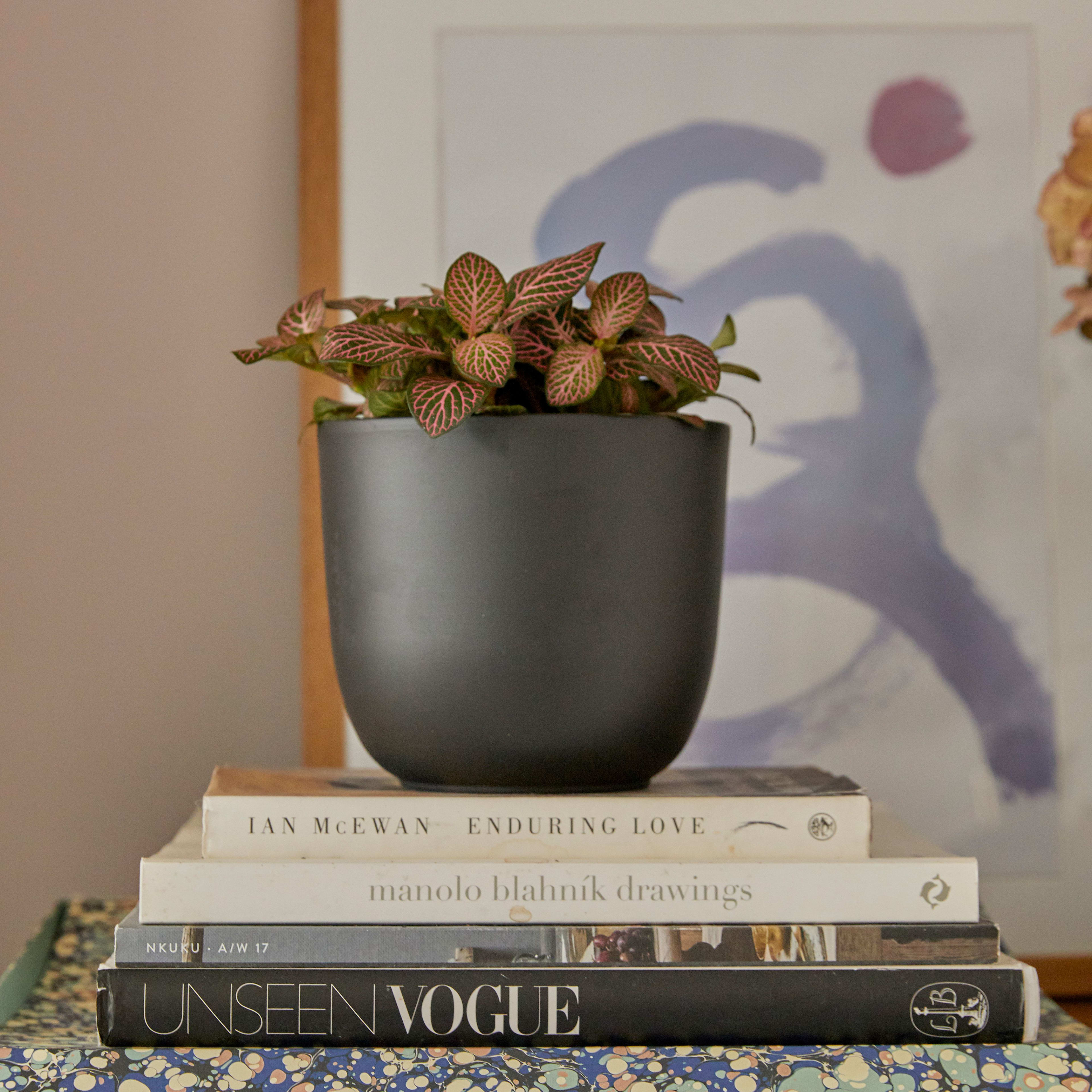 [object Object] image 1