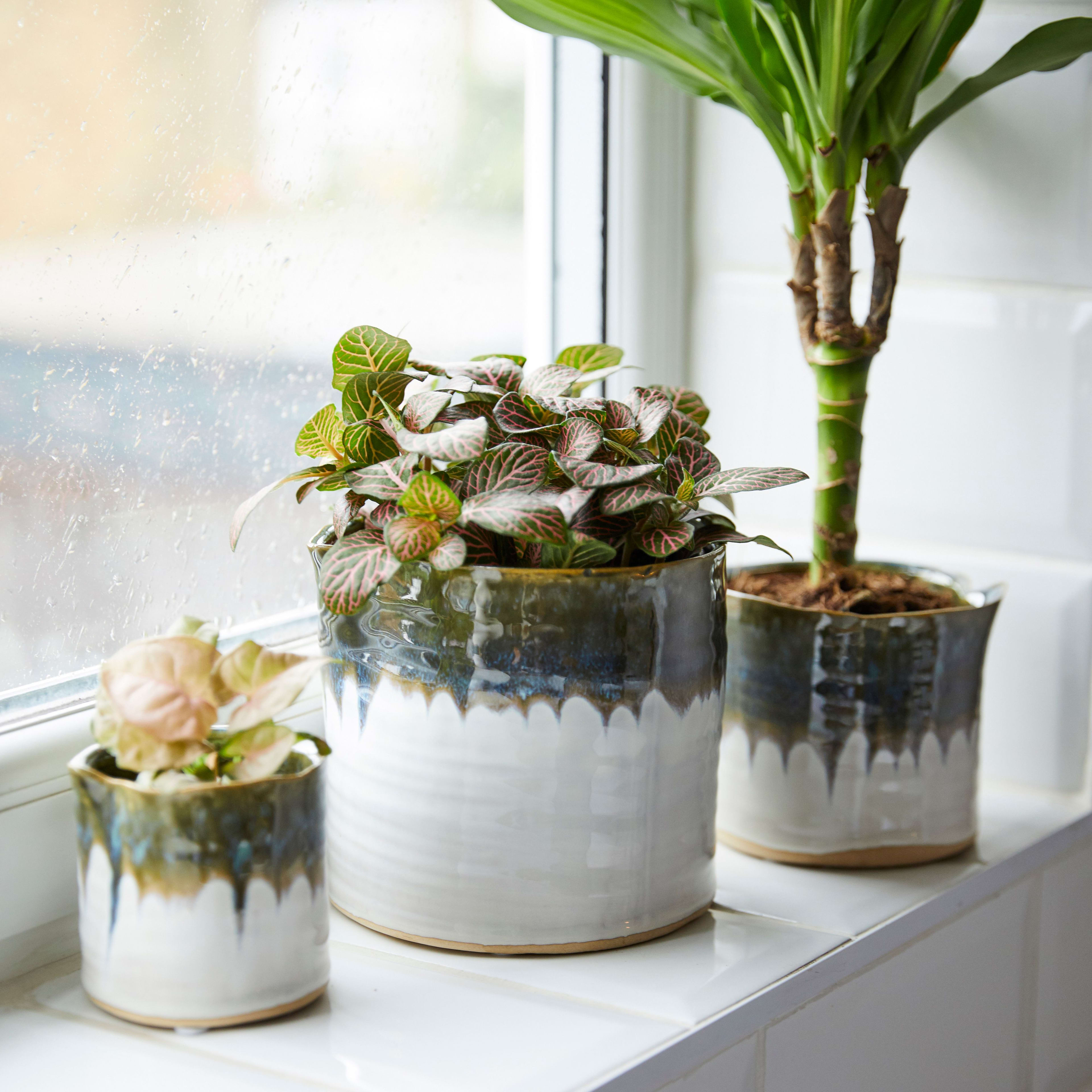 [object Object] image 2