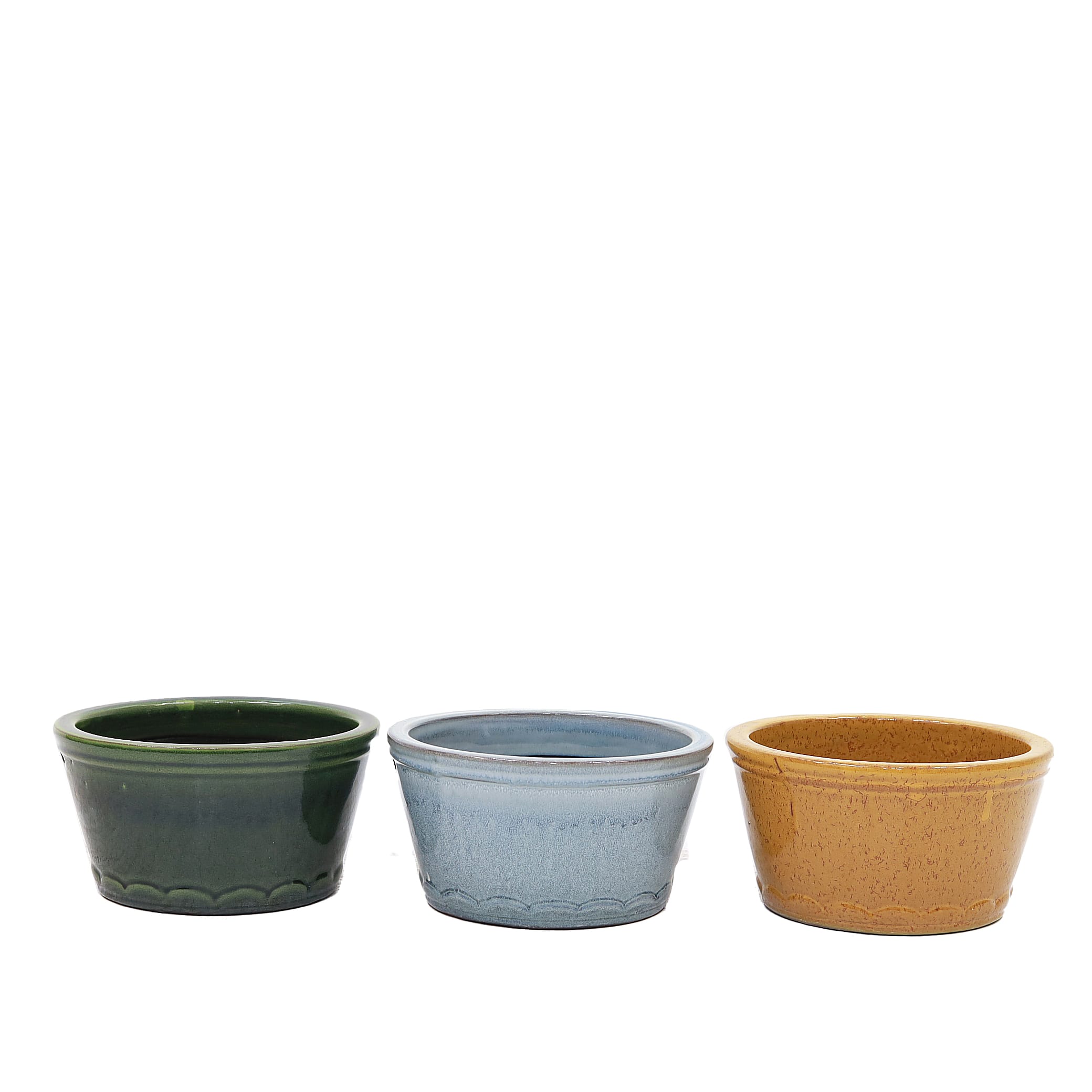 [object Object] image 2