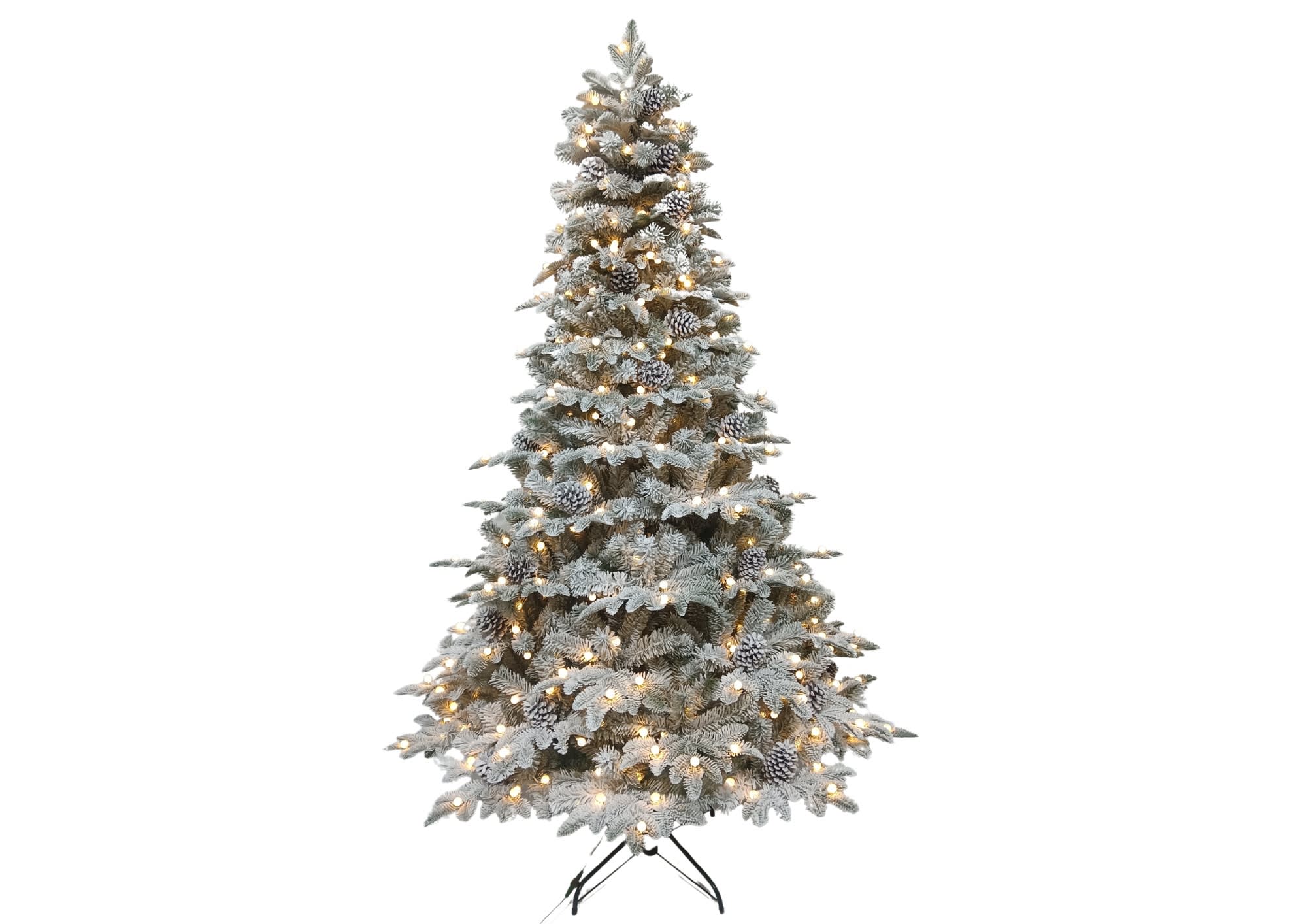 [object Object] image 2