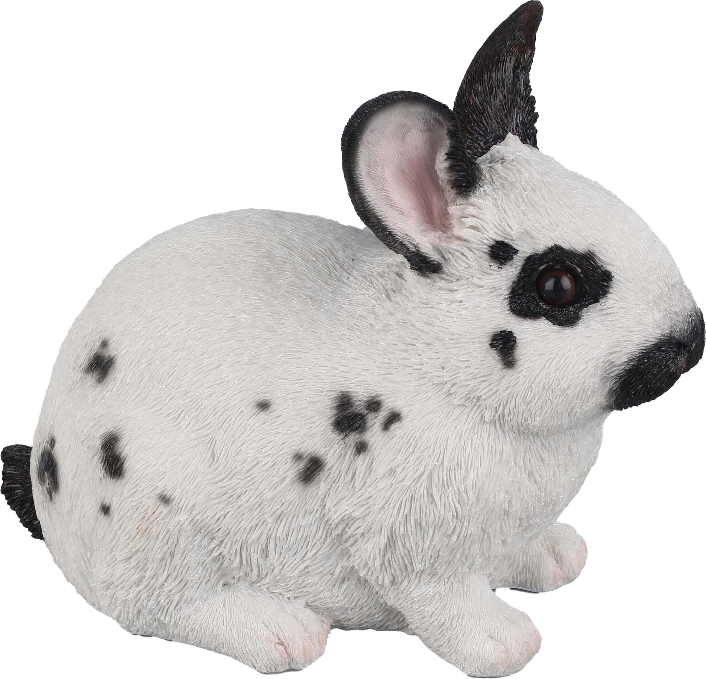 BUNNYR2