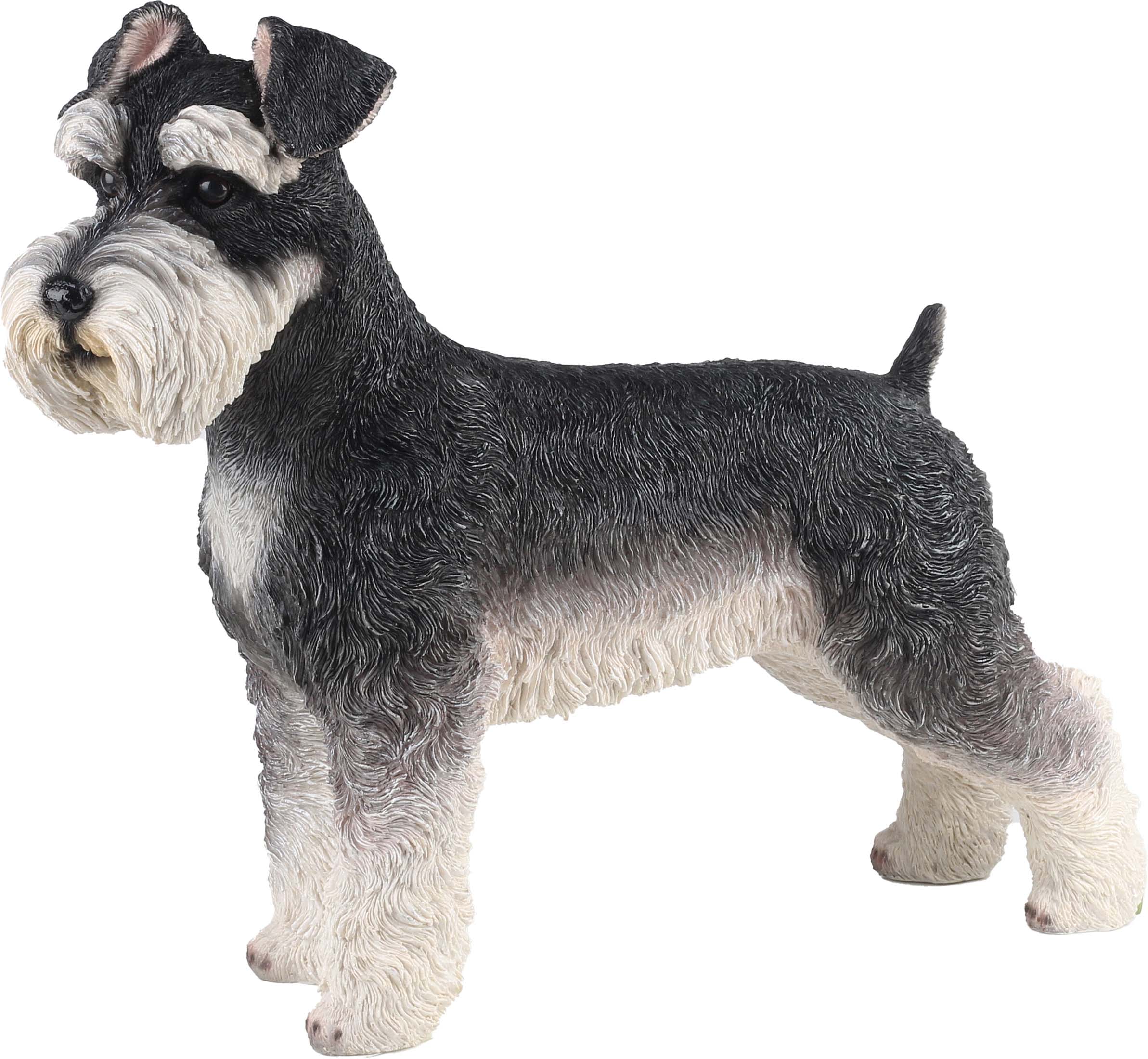 SCHNAUZR1