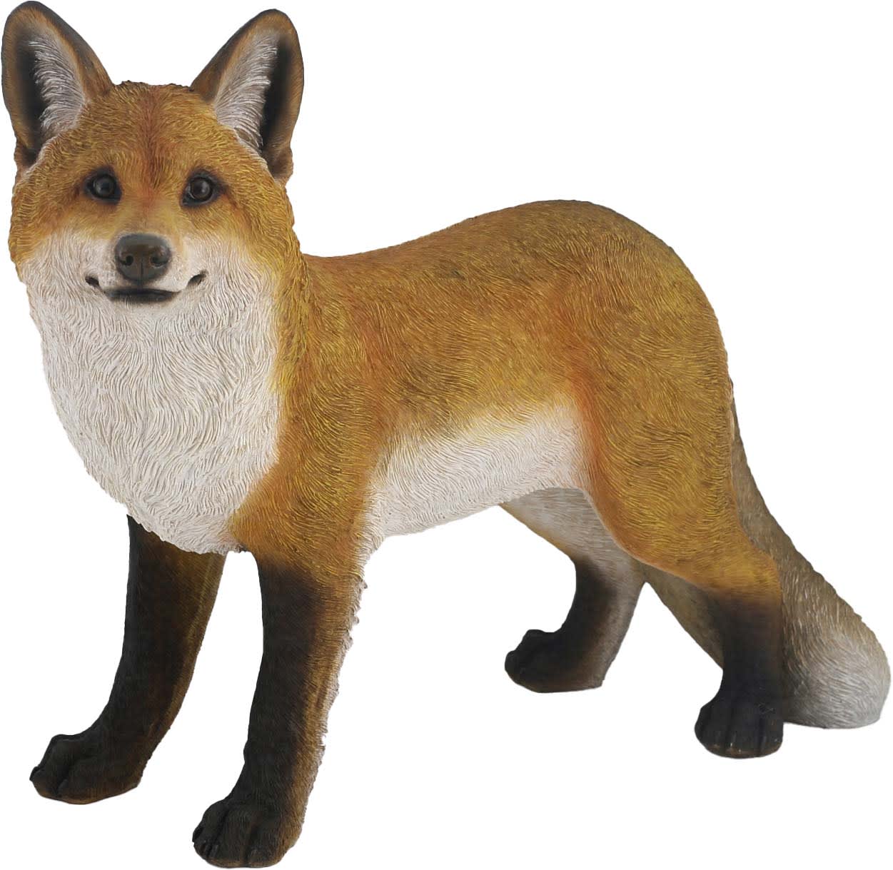 FOXR2