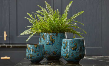 ROOT Indoor