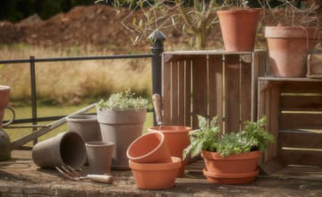 Plain Pots