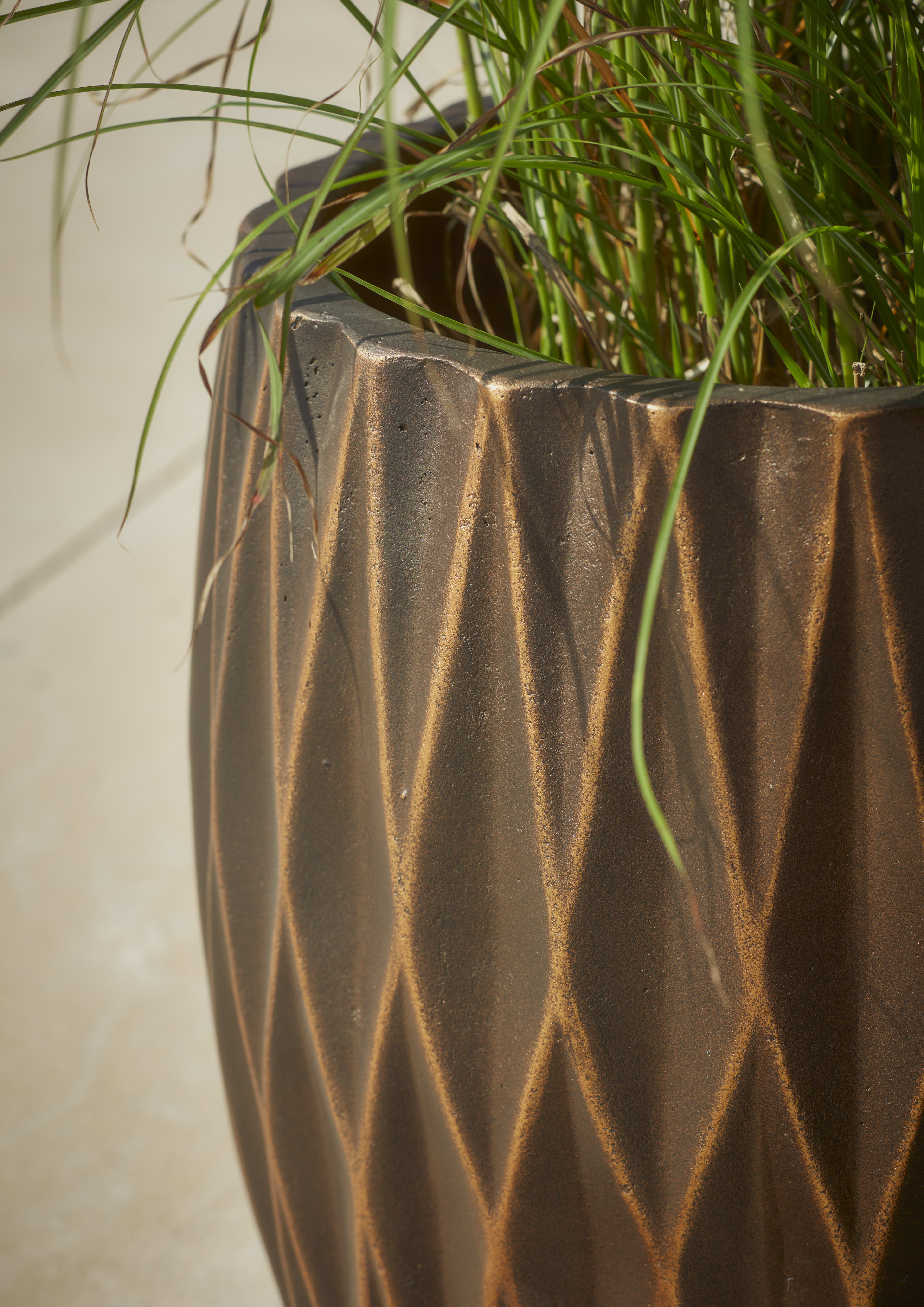 [object Object] image 2