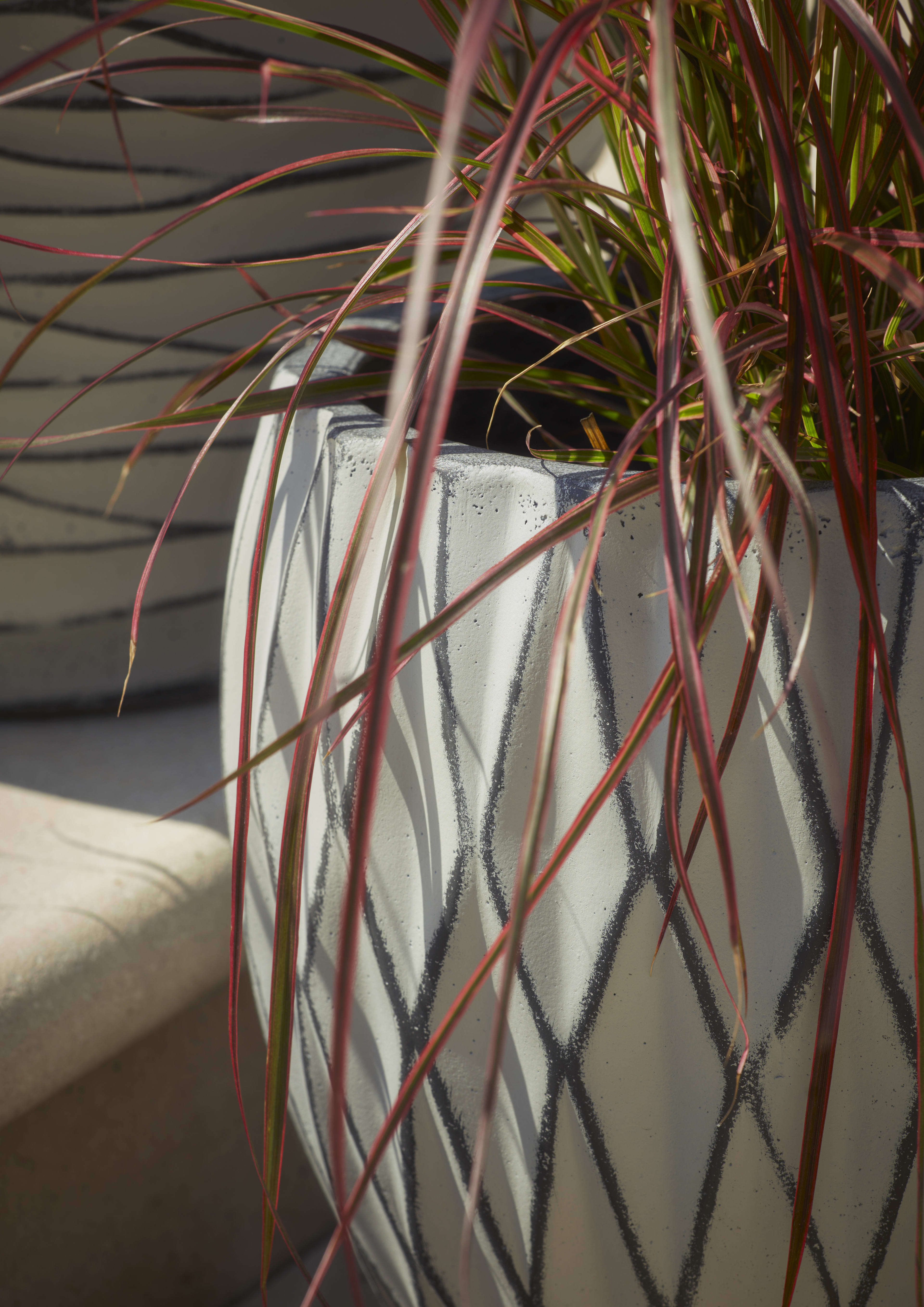 [object Object] image 2