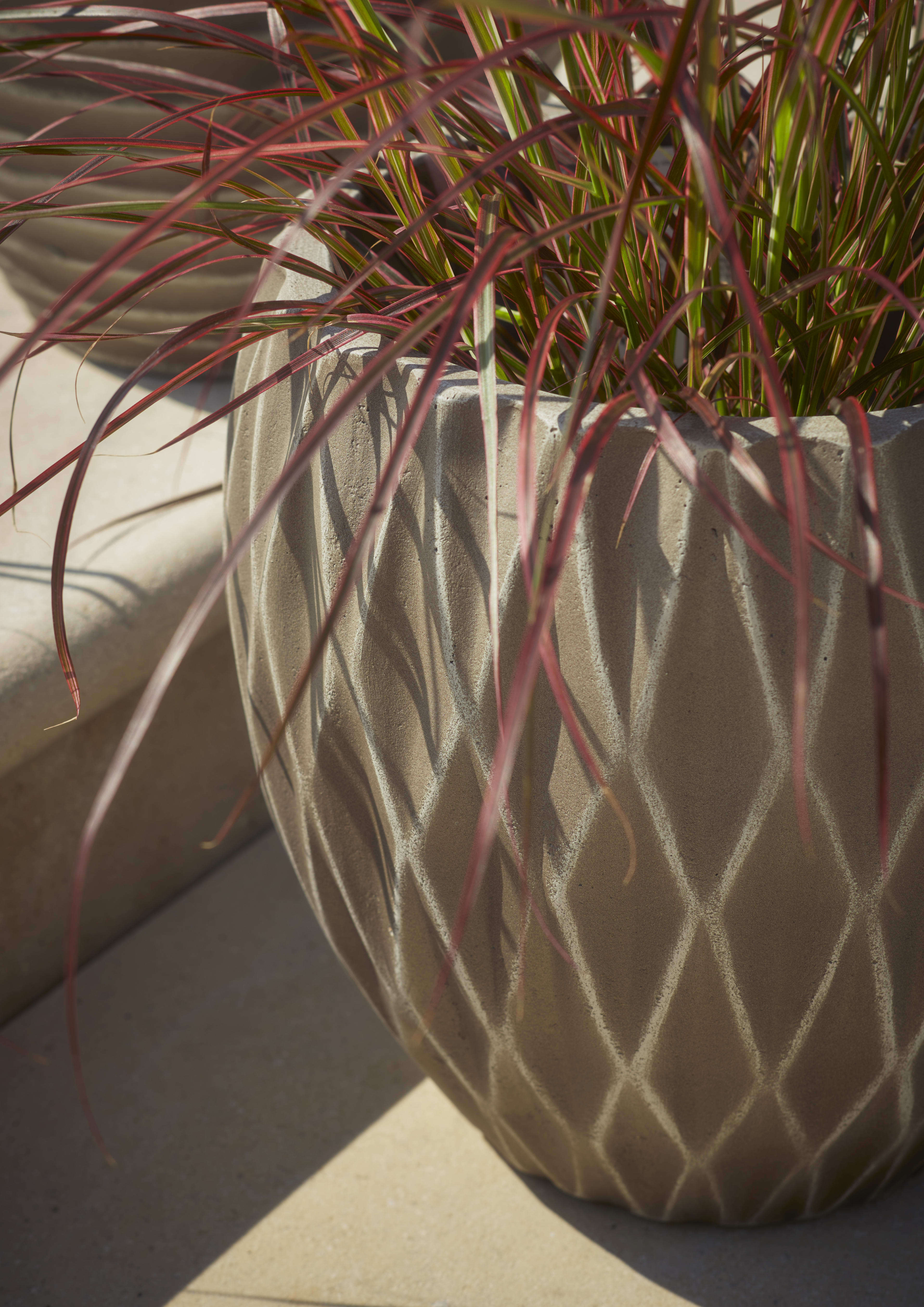 [object Object] image 2