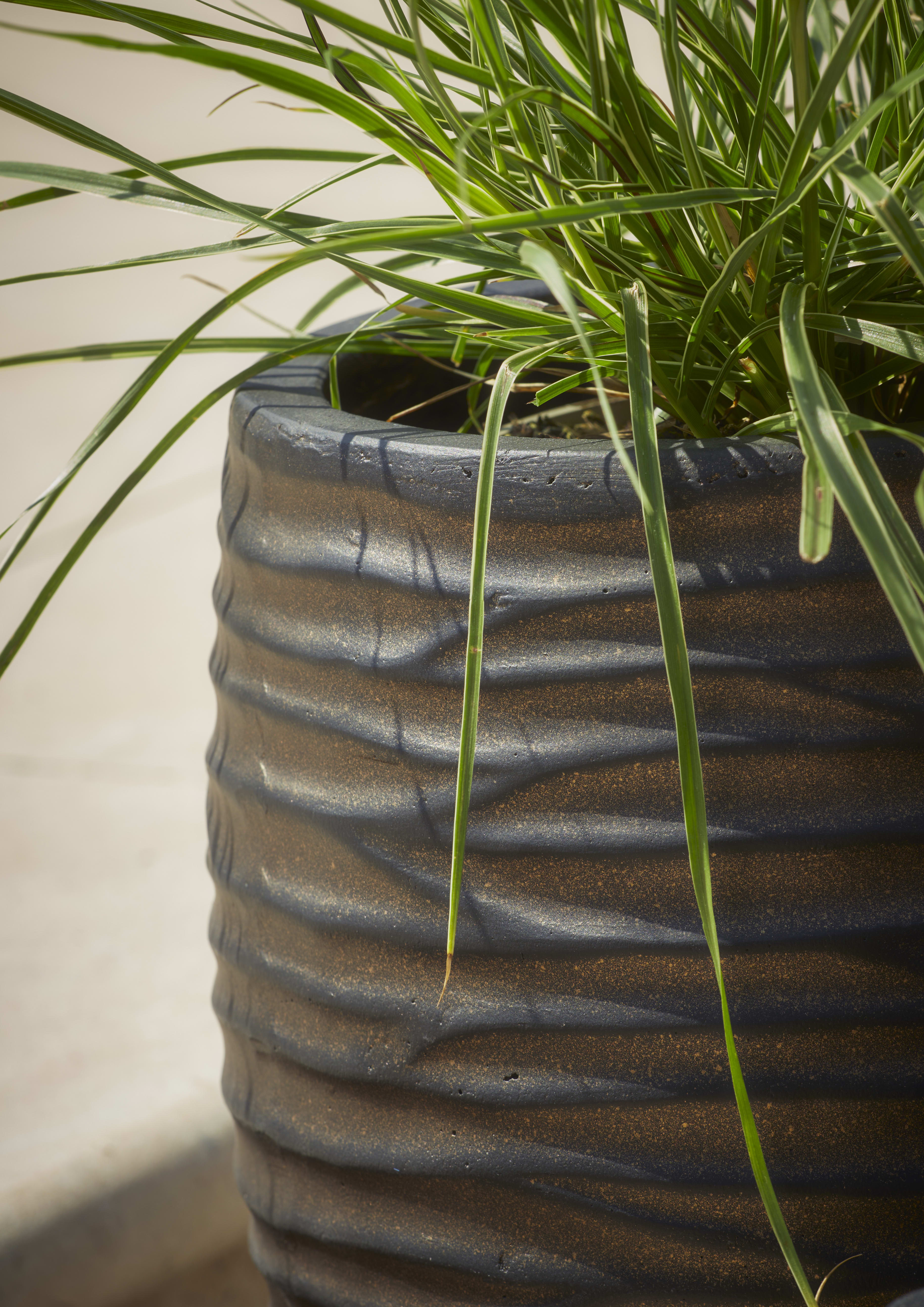 [object Object] image 2