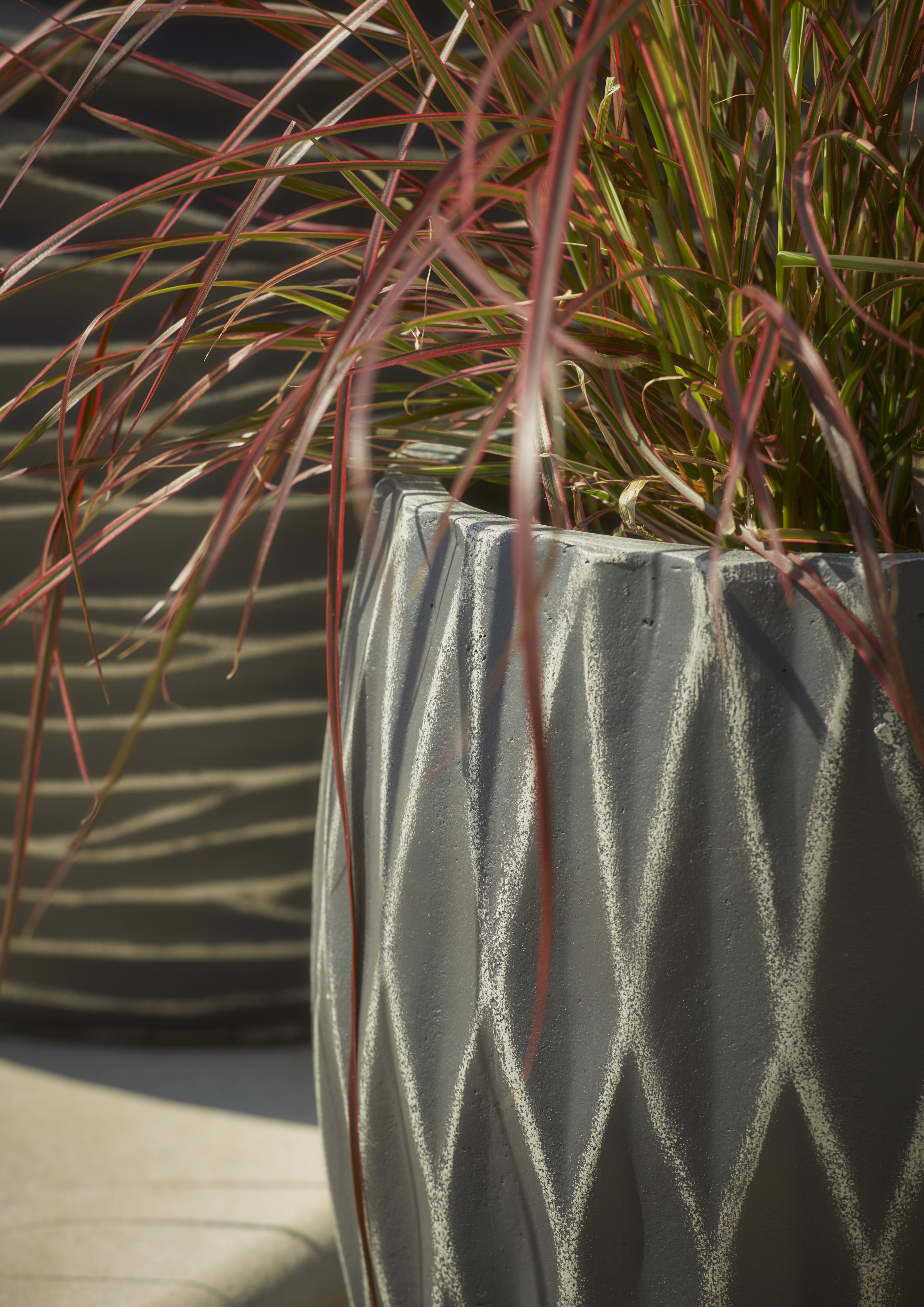 [object Object] image 2