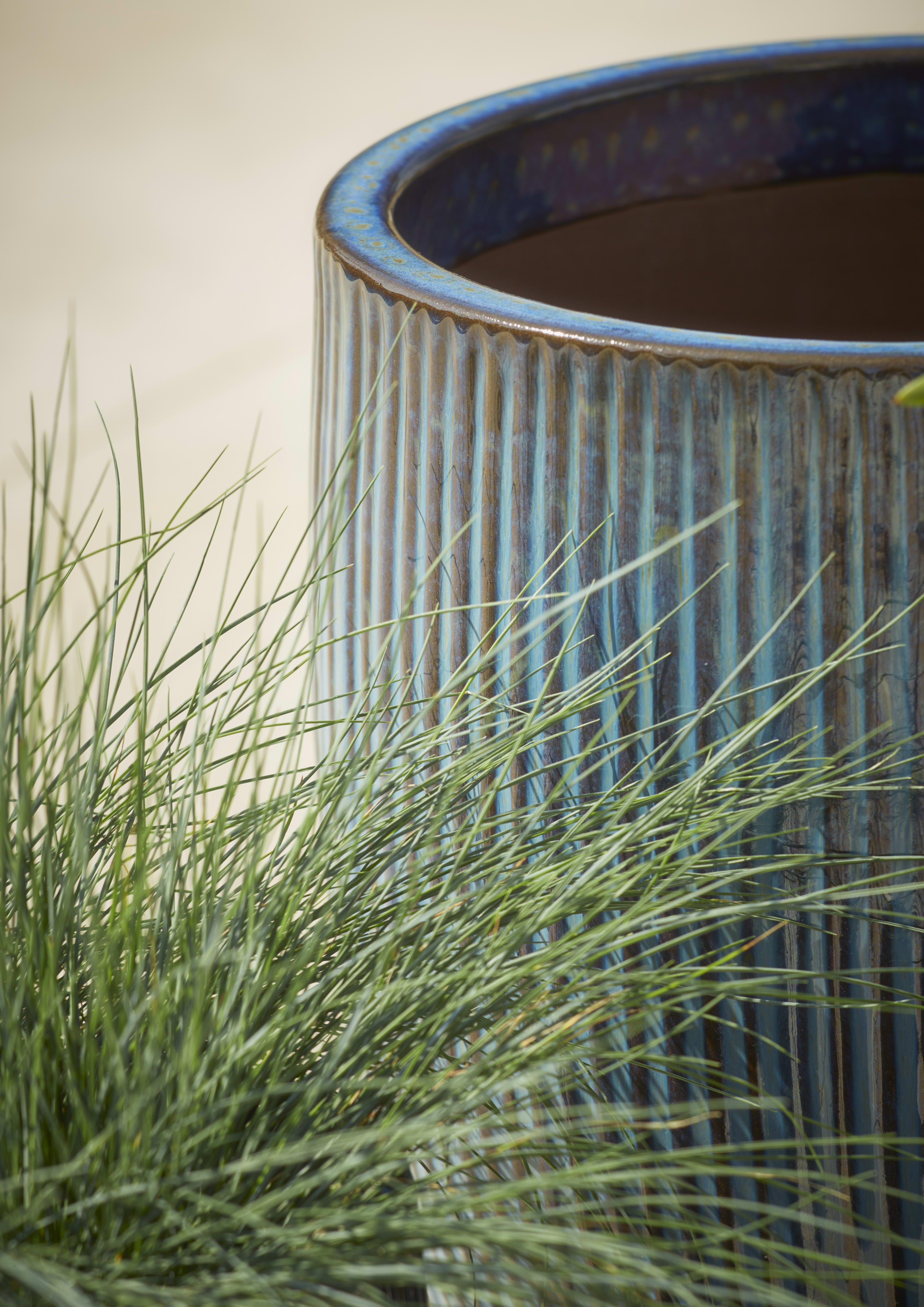 [object Object] image 2