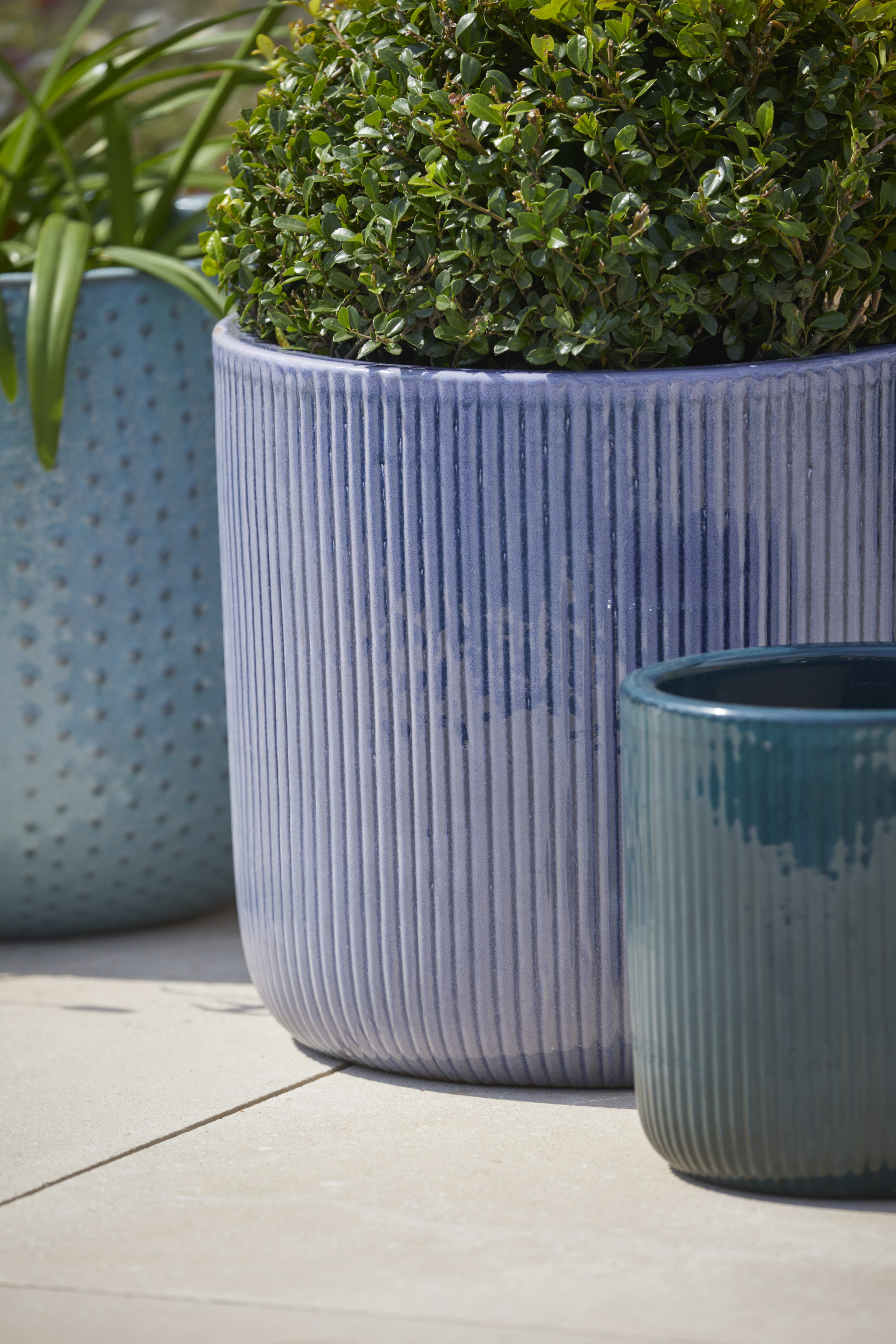 [object Object] image 2