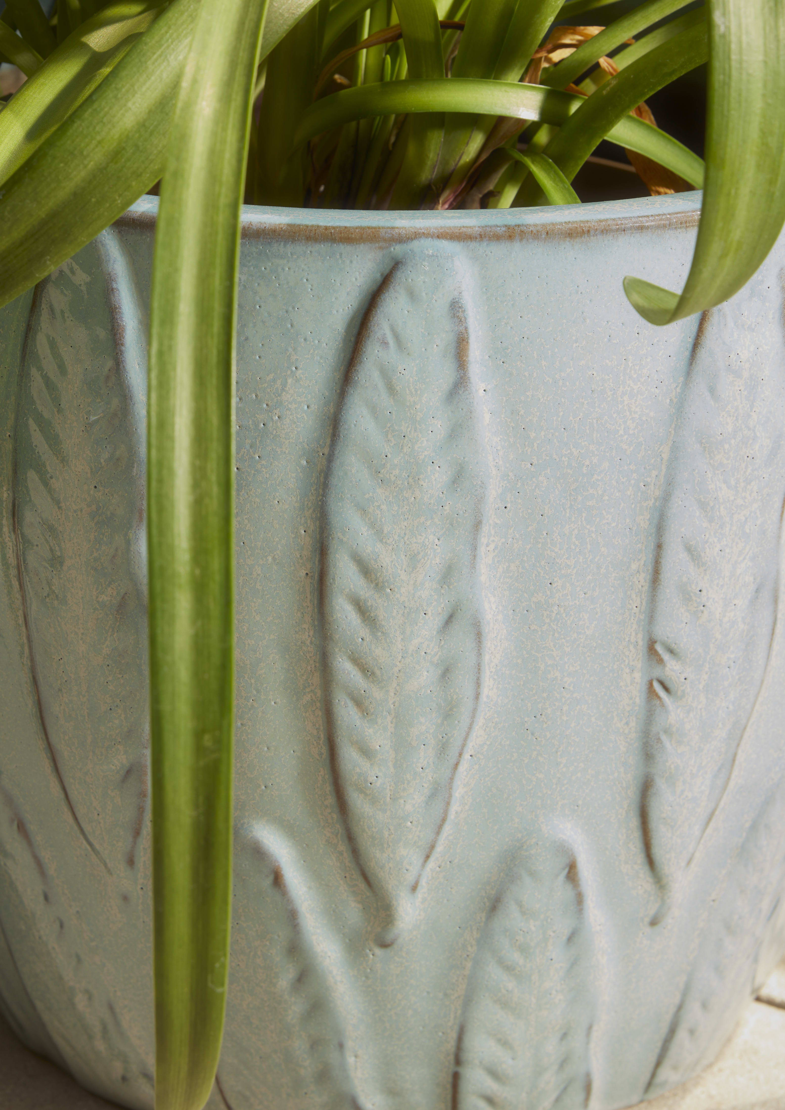 [object Object] image 2