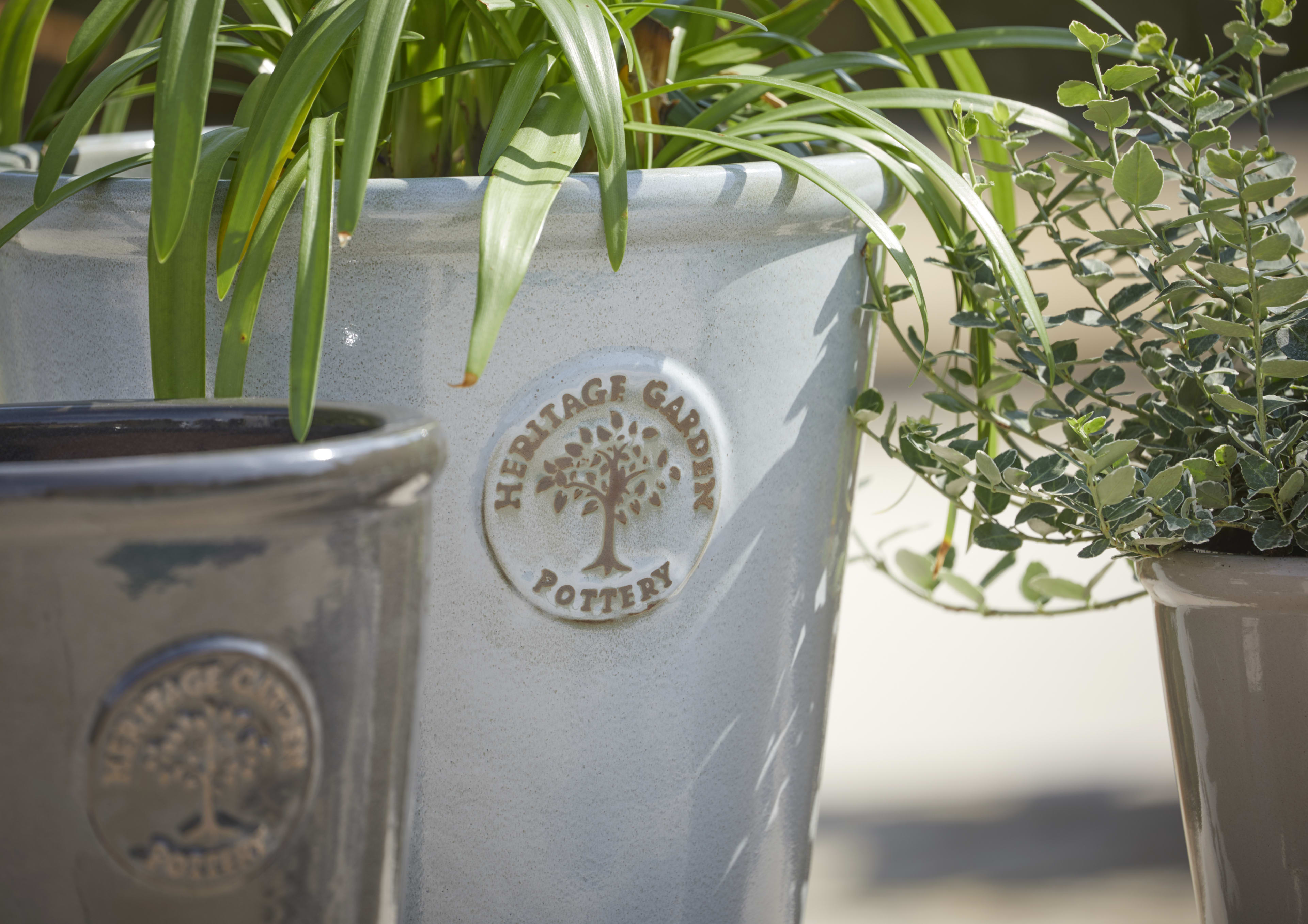 [object Object] image 2