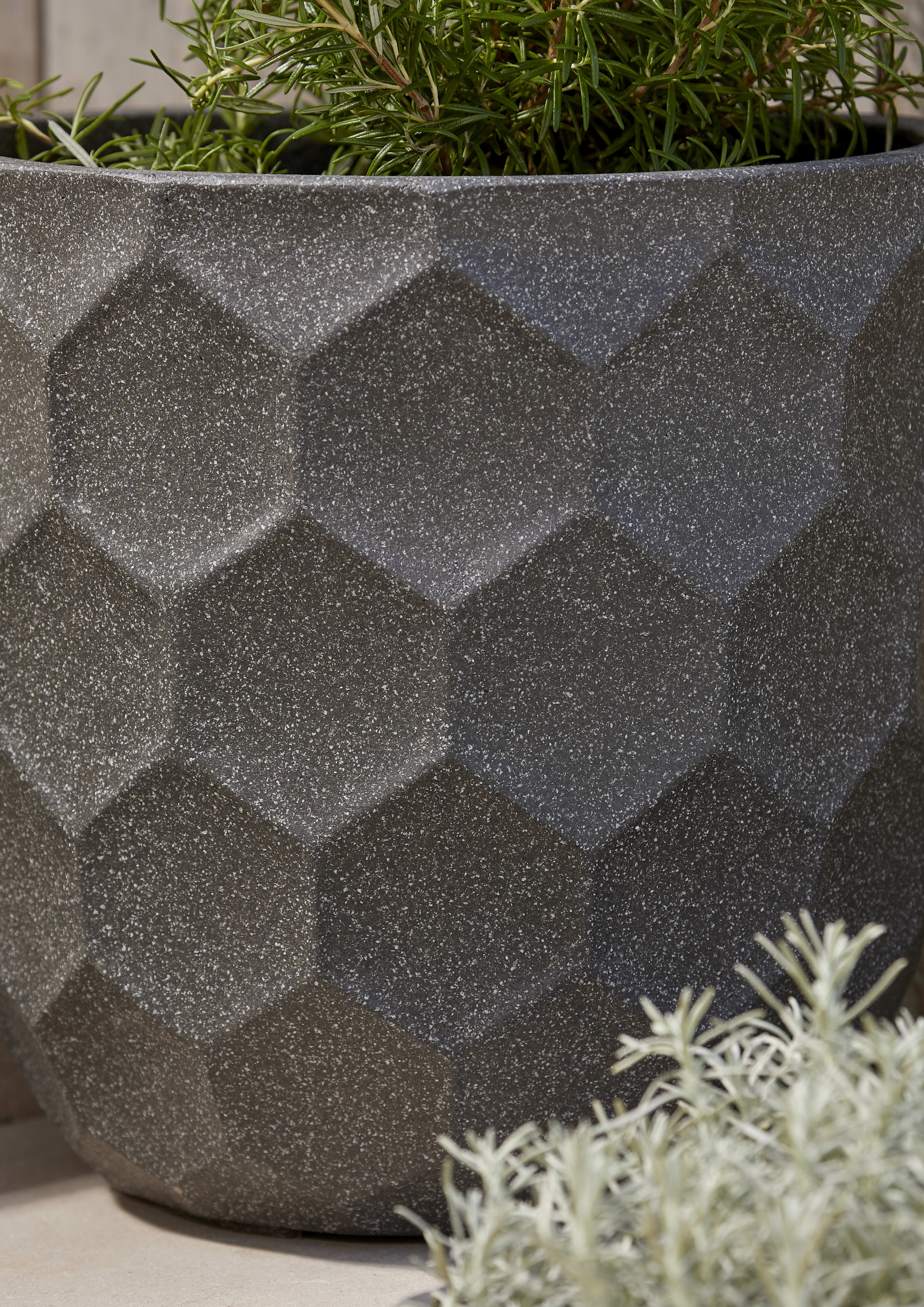 [object Object] image 2