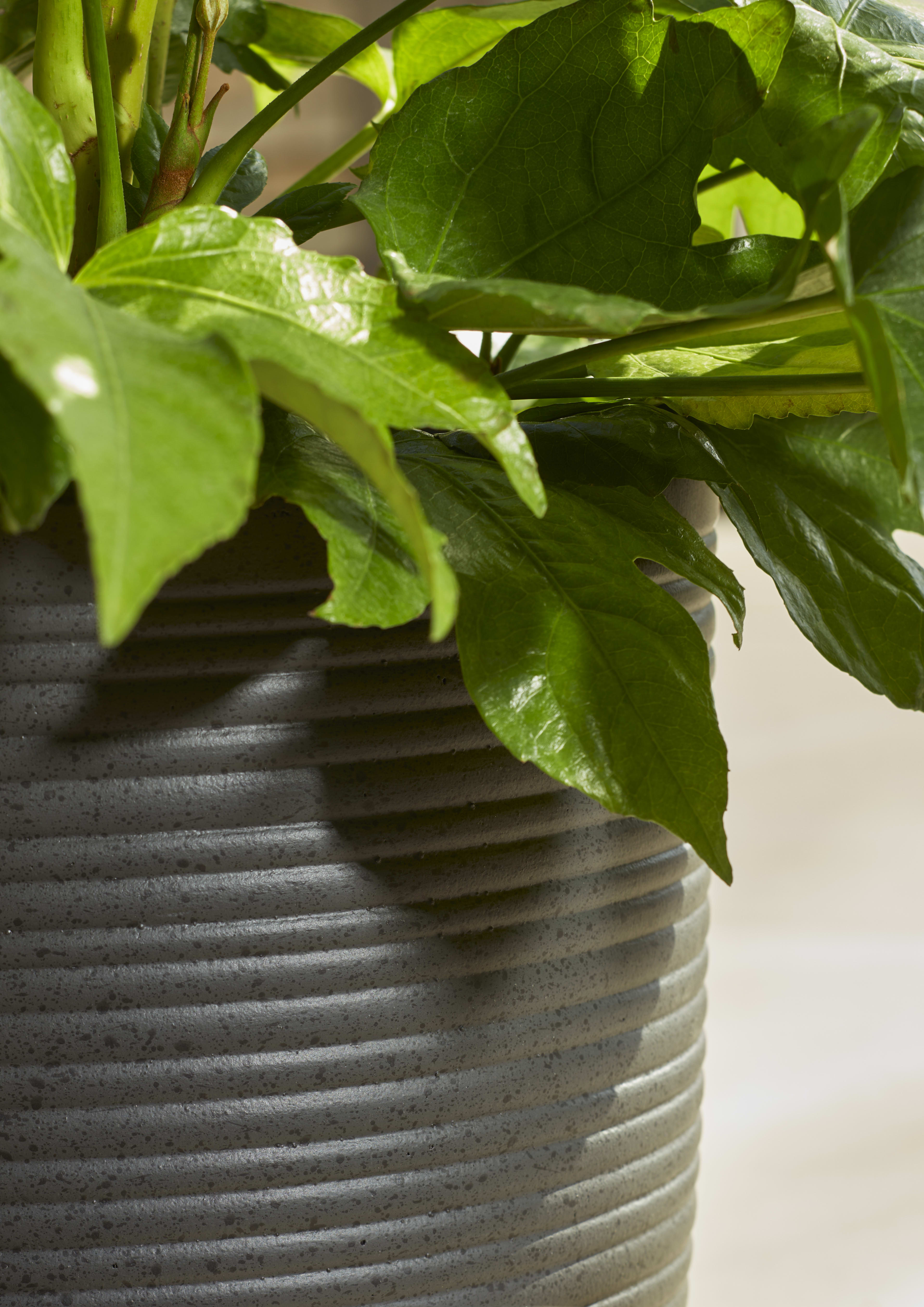 [object Object] image 2