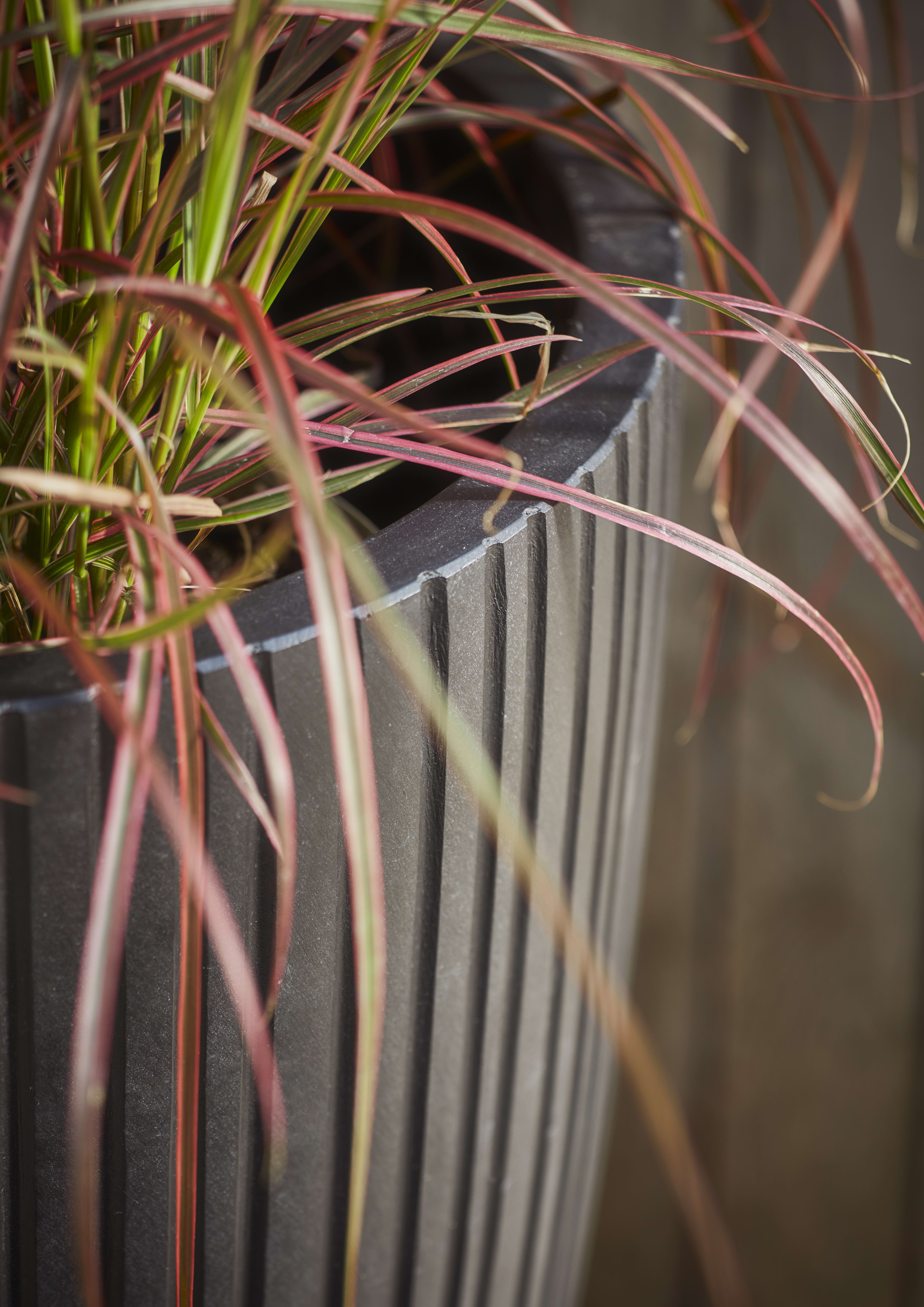 [object Object] image 2